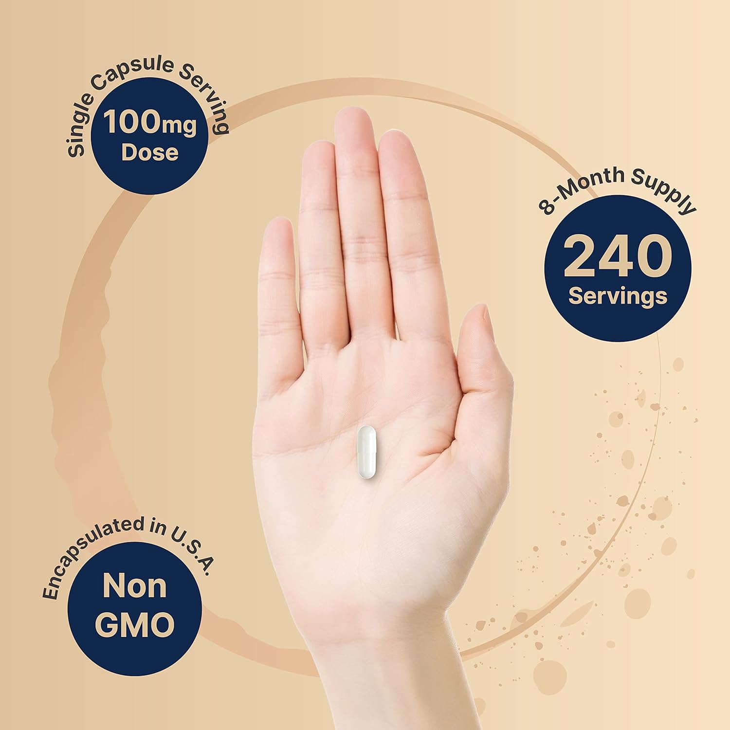 naturebell-dhea-100mg-capsules---240-count-extra-strength-micronized-grade-for-better-absorption---supports-energy-metabolism-healthy-aging---non-gmo-made-in-usa---men-and-womens-supplement-5