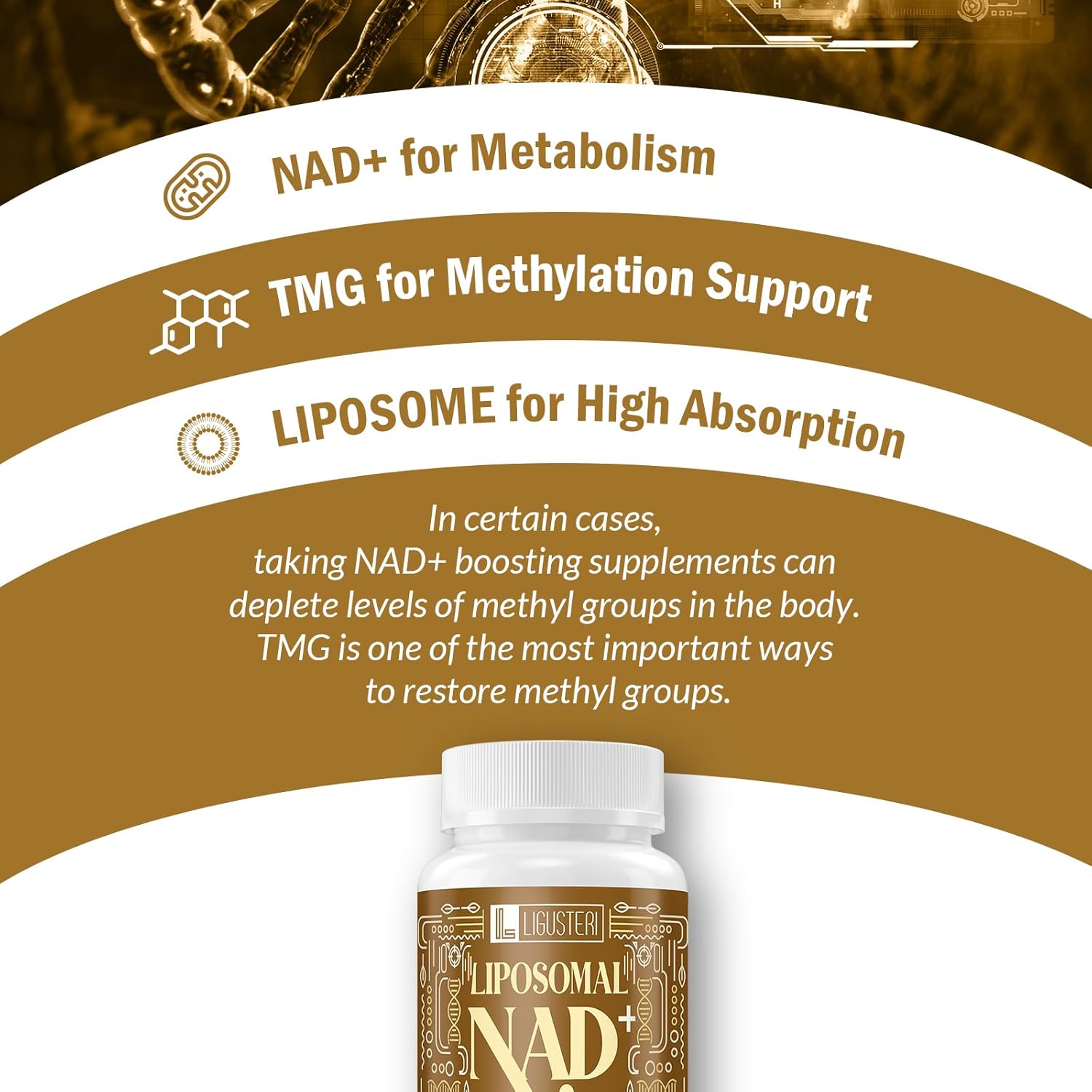 1500MG Liposomal NAD+ Supplement with TMG for Aging Defense, Energy, Heart & Brain Function - 120 Softgels - Espot.com.au