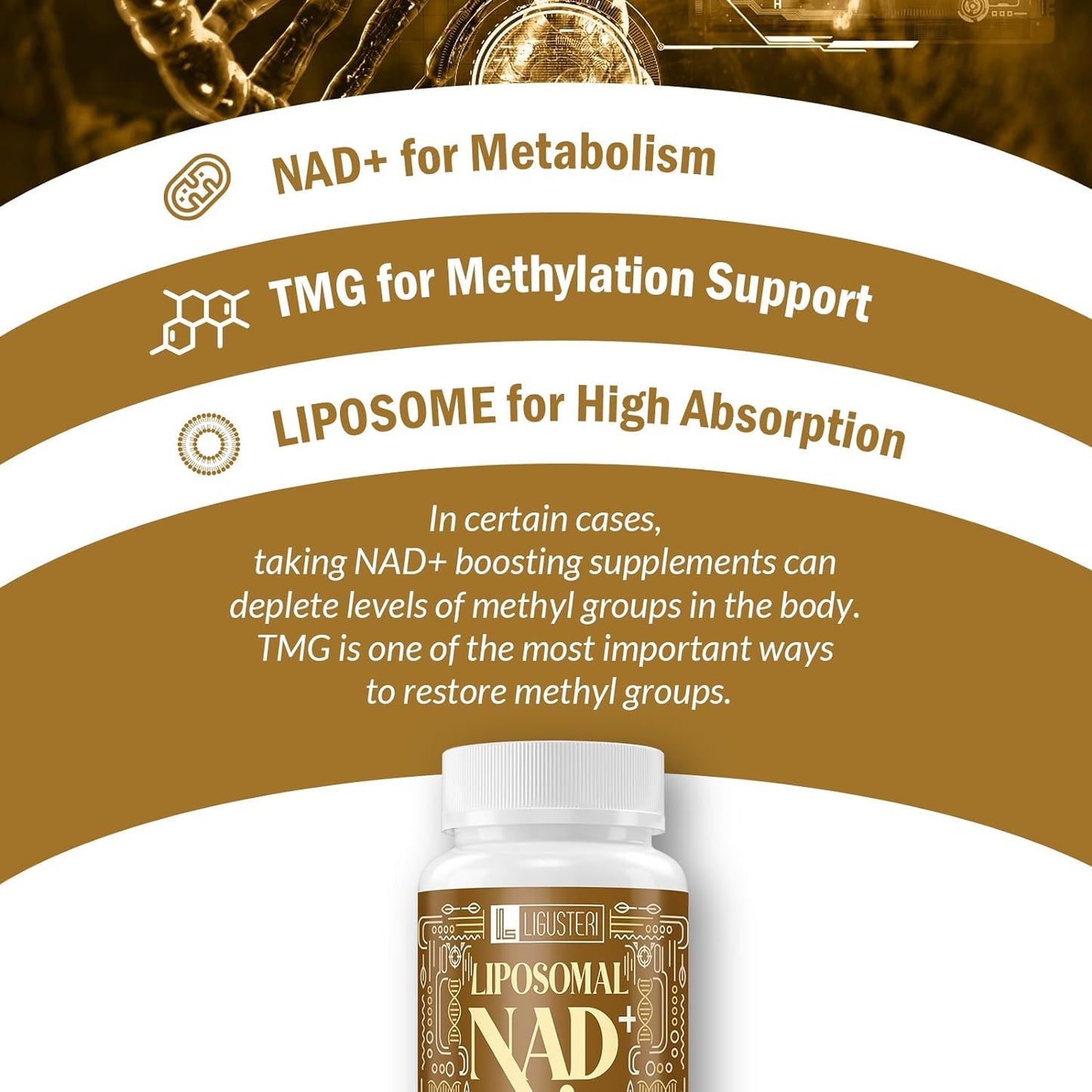 1500mg-liposomal-nad-supplement-with-tmg-for-aging-defense---60-softgels-pure-nad-plus-for-cellular-energy-heart-brain-function-3