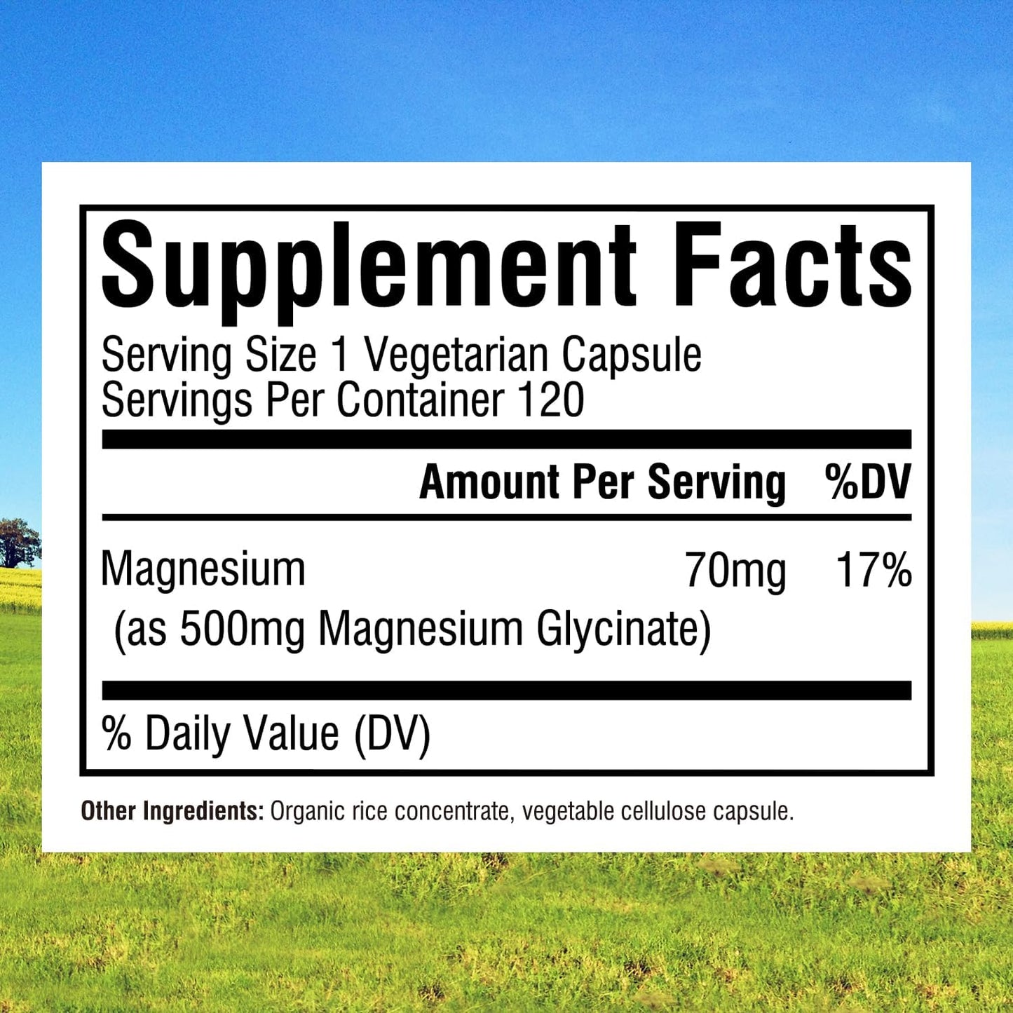 high-absorption-magnesium-glycinate-500mg-non-gmo-70mg-elemental-magnesium-supplement-for-nerve-muscle-bone-heart-health---240-vegan-capsules-2