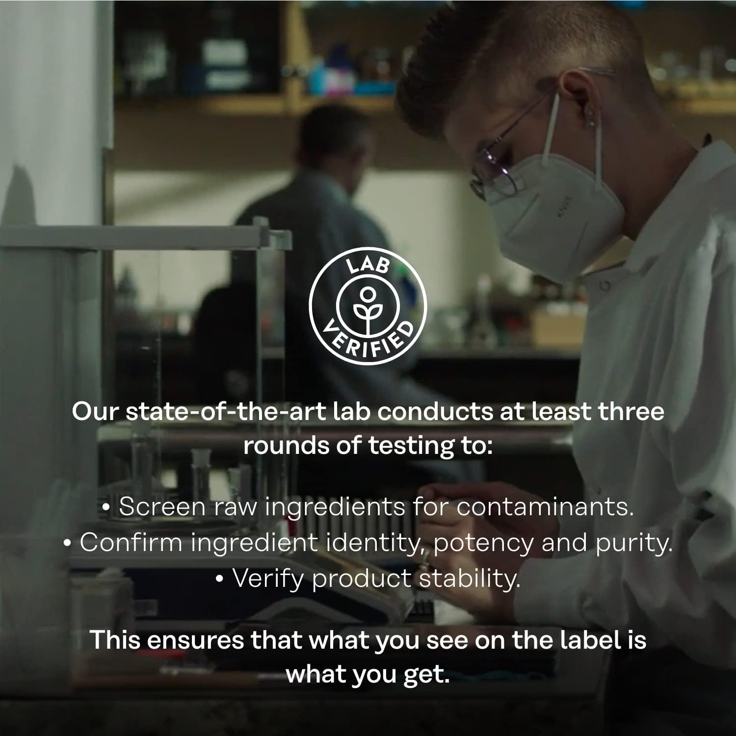 Vitamin C 1000mg with Mullein Leaf Wellness Bundle - Time Release Supplement for Wellness Support - Vegan Capsules with 60-Day Guarantee - 275/100 VegCaps - Espot.com.au