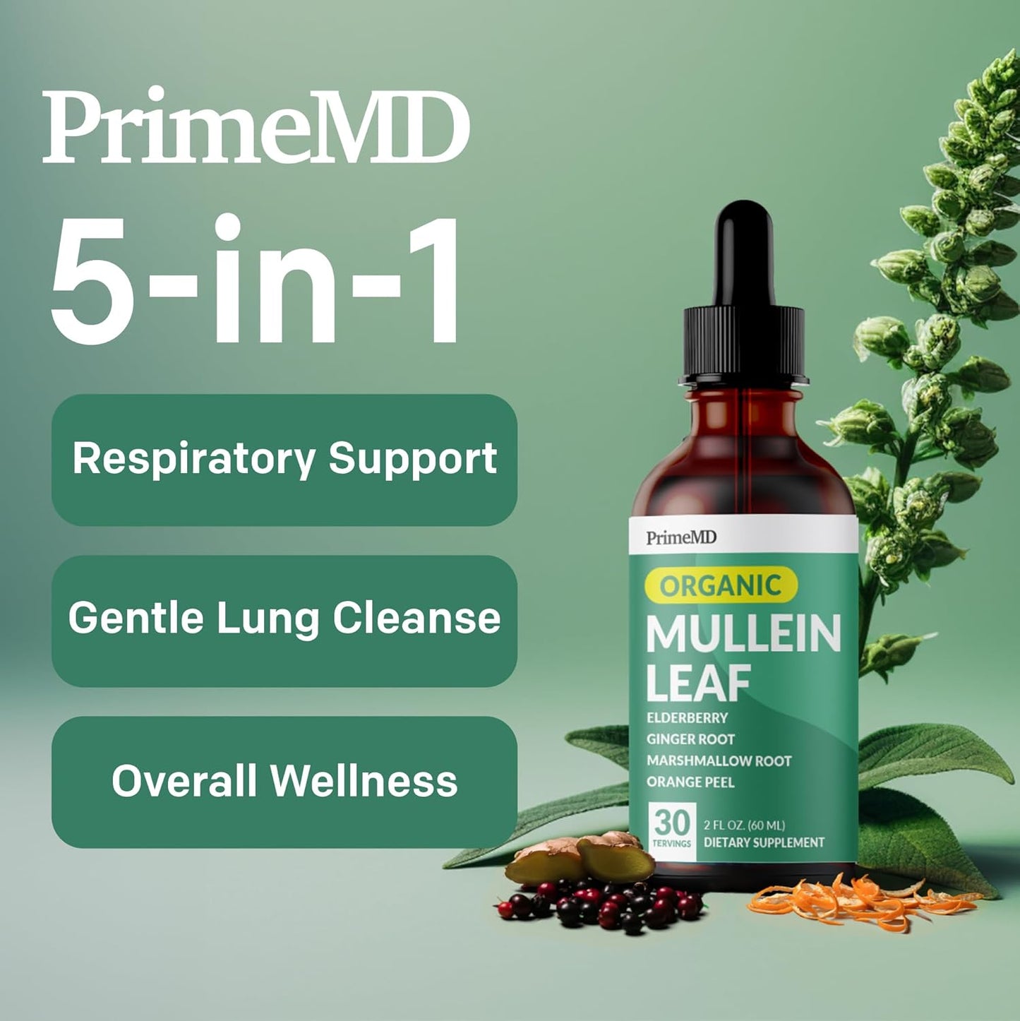 premium-lung-and-bronchial-support-drops-with-mullein-leaf-extract---5-in-1-respiratory-health-formula-with-elderberry-marshmallow-and-ginger-root---120-servings-2-pack-2