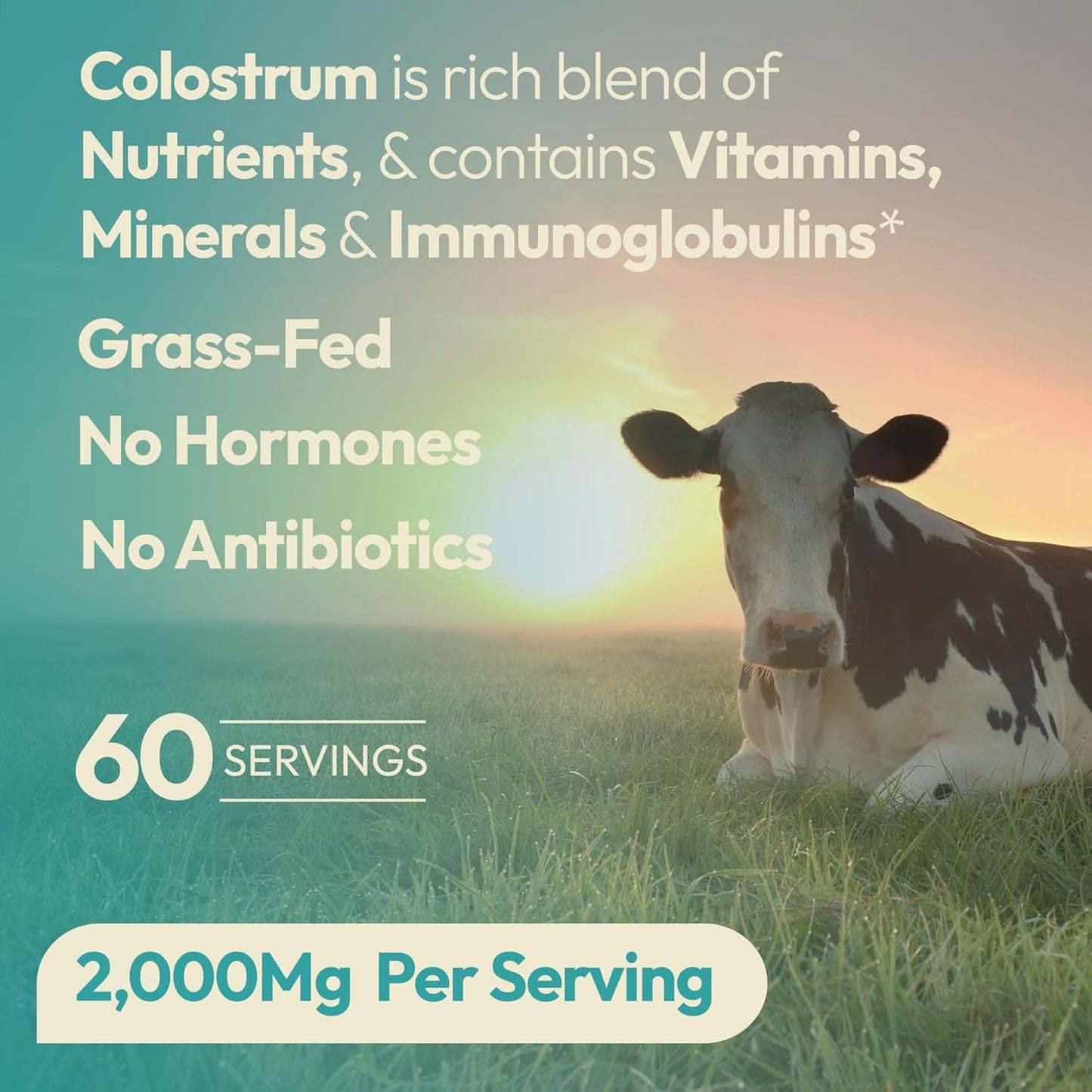 pure-grass-fed-bovine-colostrum-powder-supplement-for-gut-health-immune-support-muscle-recovery-hair-beauty---natural-igg-unflavored-60-servings-3