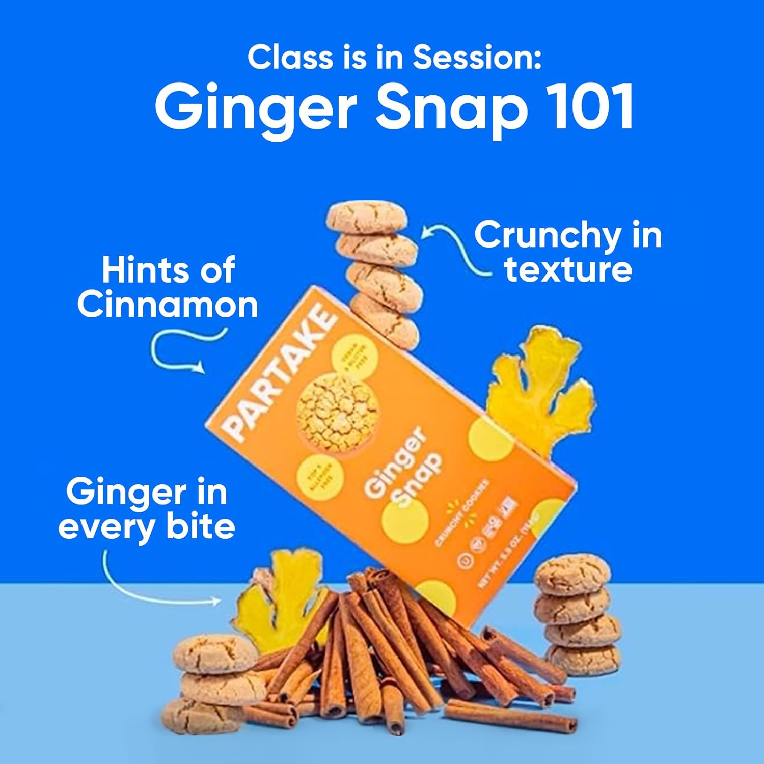 partake-foods-crunchy-ginger-snap-cookies---gluten-free-vegan-55oz-6-packs-non-gmo-allergy-friendly-snacks-no-peanuts-soy-dairy-tree-nuts-2