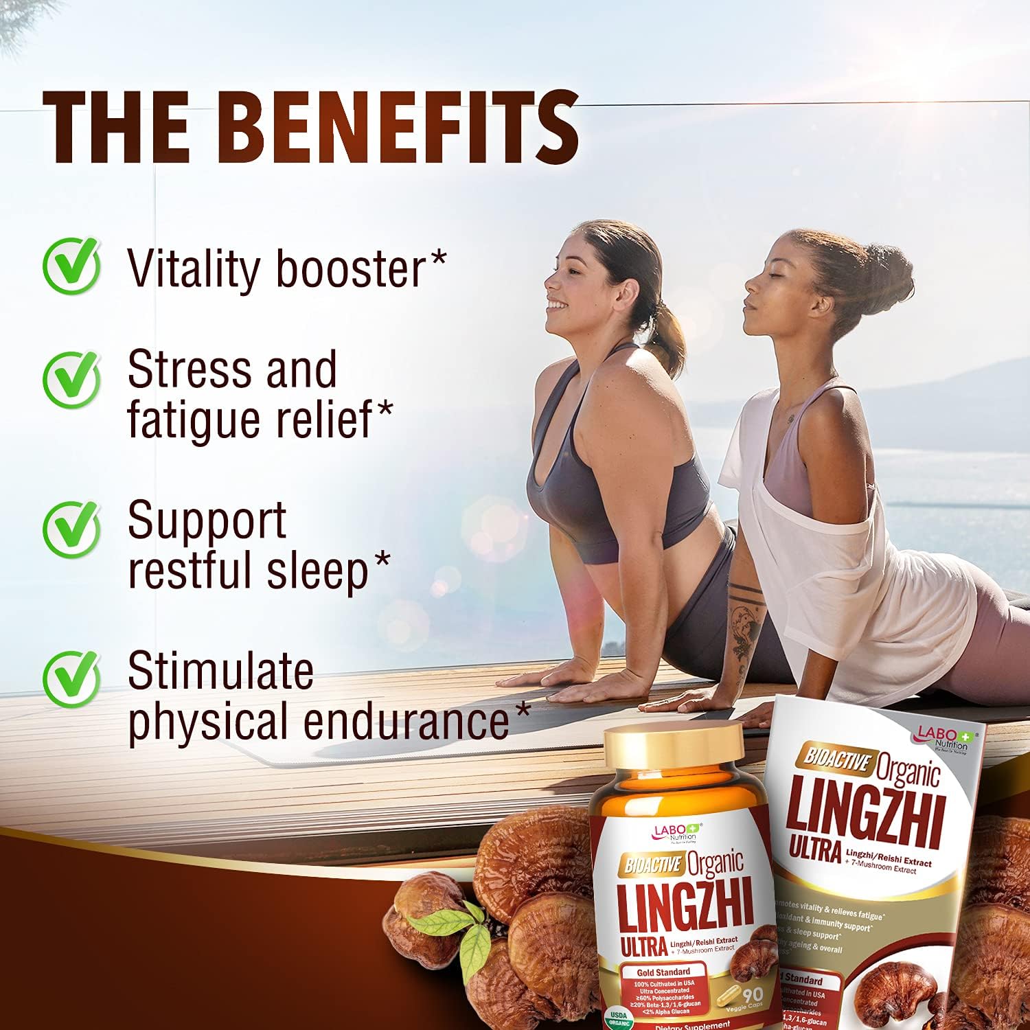 organic-lingzhi-reishi-ultra-immune-support-mushroom-supplement---usda-certified-cordyceps-maitake-turkey-tail-shiitake---labo-nutrition-2