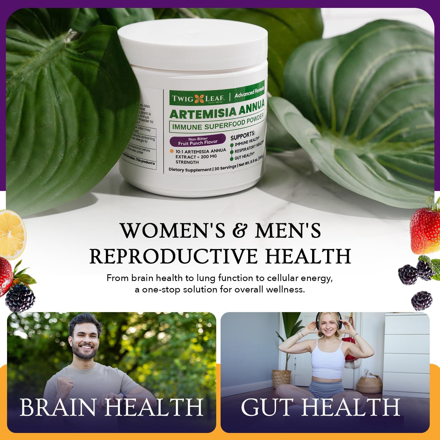 artemisia-annua-immune-powder---supports-brain-gut-immune-health---sweet-wormwood-extract---30-servings---85-oz-5
