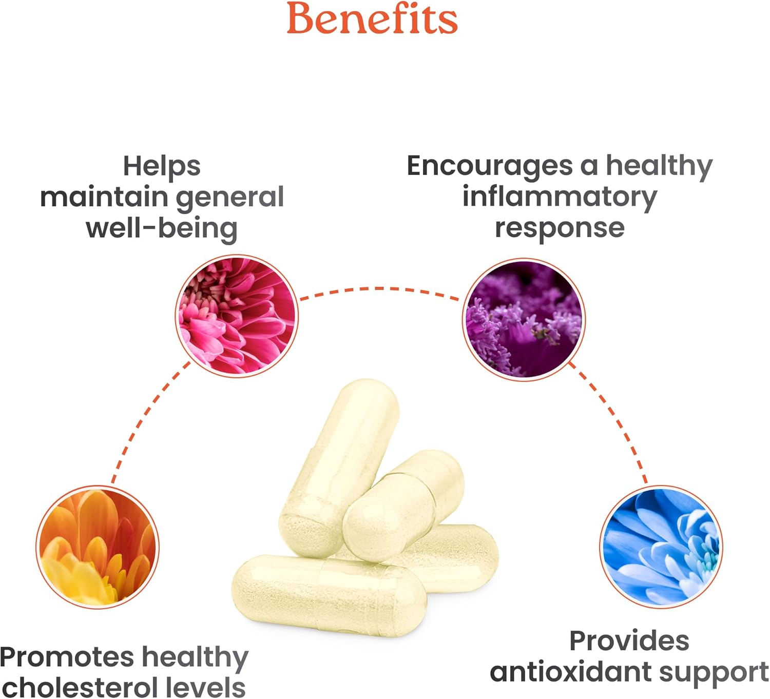 500-mg-citrus-bergamot-heart-health-supplement---natural-wellness-aging-support---pure-extract-formula---60-veggie-capsules-4