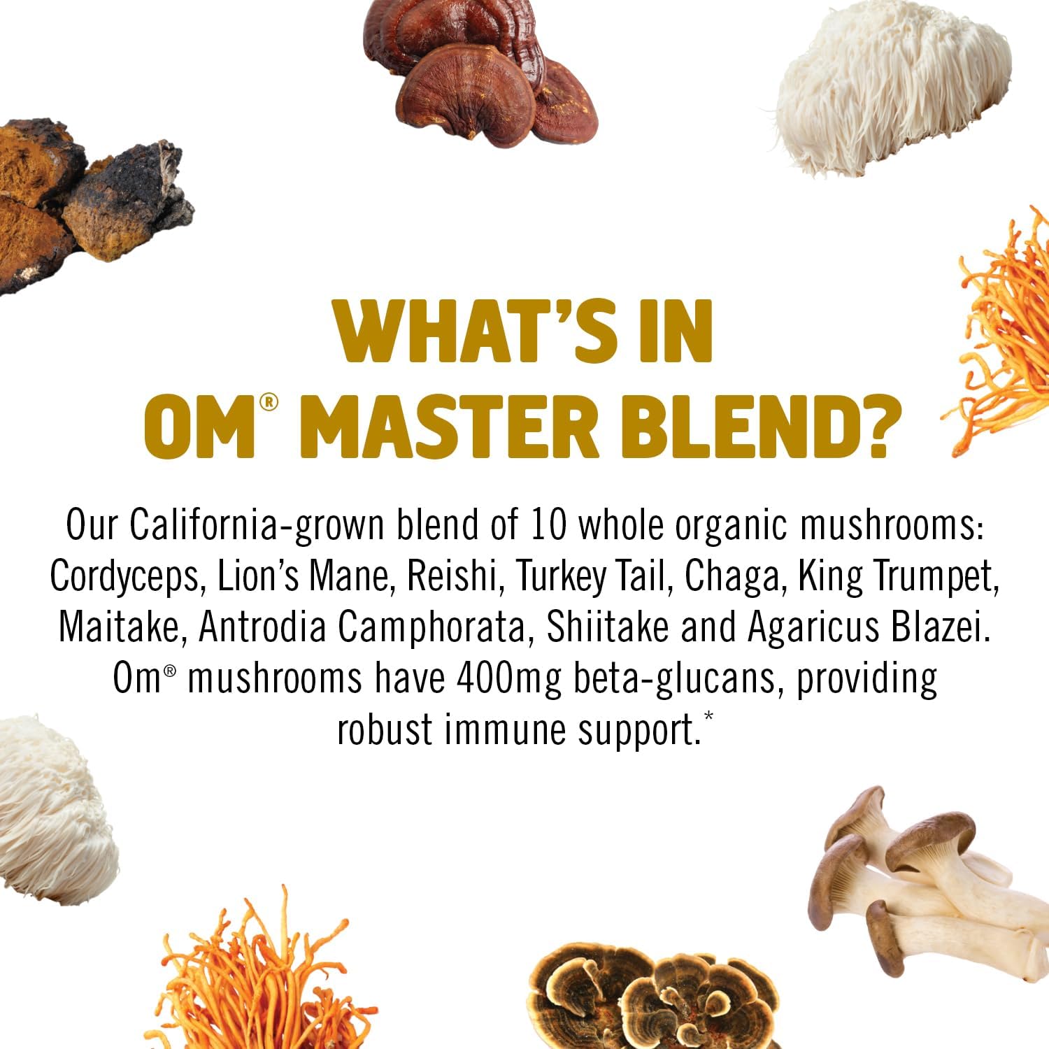 om-mushroom-superfood-master-blend-gummies---56-count-mixed-berry---10-mushroom-complex-with-lions-mane-chaga-cordyceps---adaptogens-for-immune-health-vitality-stress-relief-6