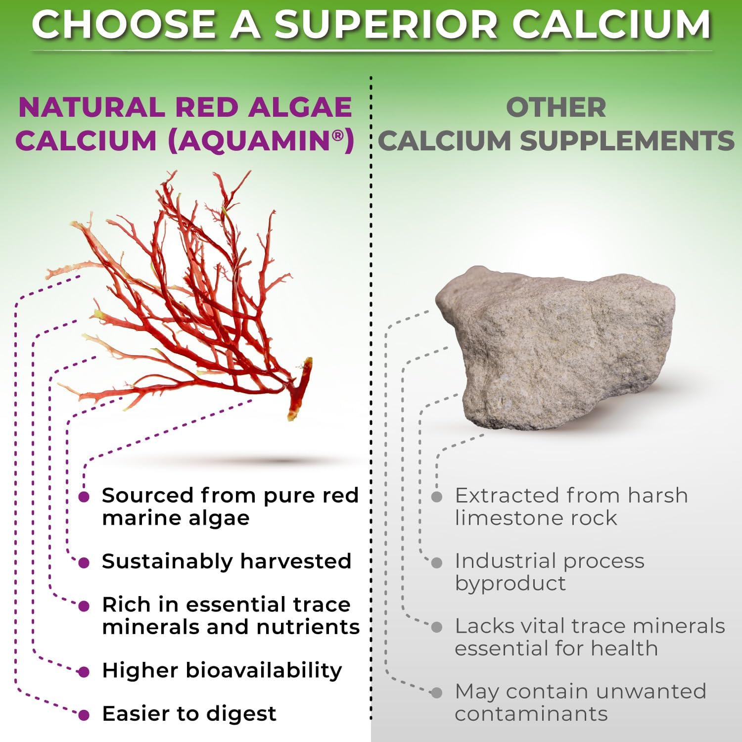 bundle-plant-based-calcium-500mg-with-aquamin-quercetin-bromelain-vitamin-c-zinc-organic-whole-food-blend-optimal-dim-200mg-supplement-5