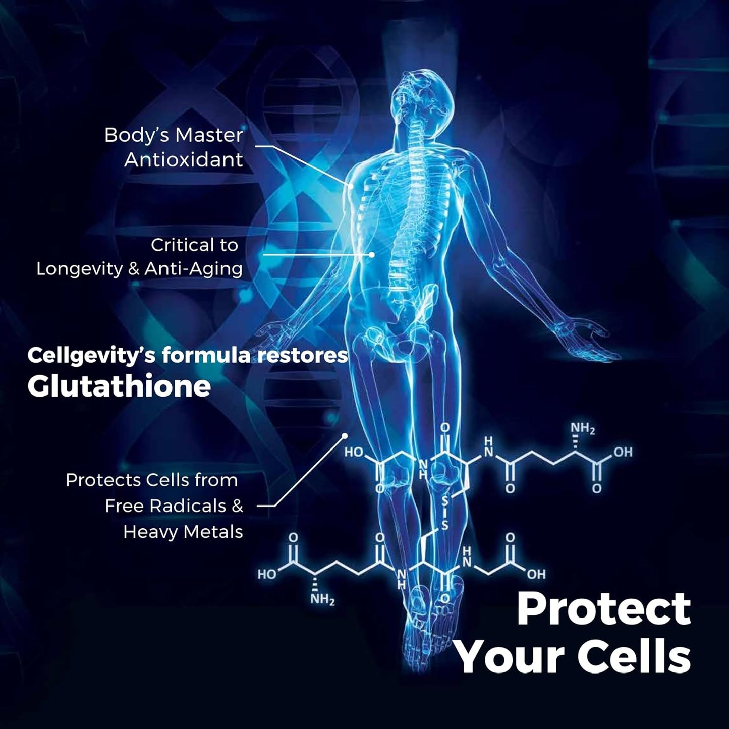 advanced-cellgevity-with-riboceine-technology---120-vegetable-capsules-60-servings---boost-cellular-health-and-function-4