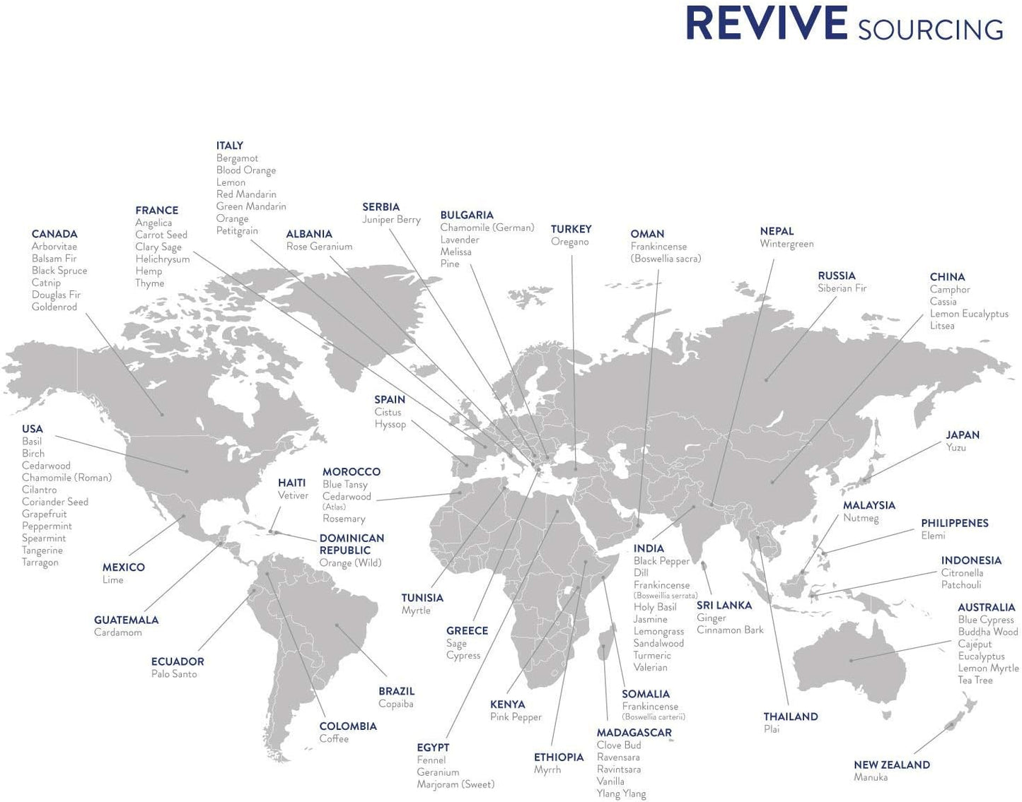 Revive Essential Oils Frankincense Boswellia Sacra 10mL - 100% Pure Therapeutic Grade Essential Oil for Aromatherapy, Diffuser, Massage, Skin & Hair Care - Espot.com.au