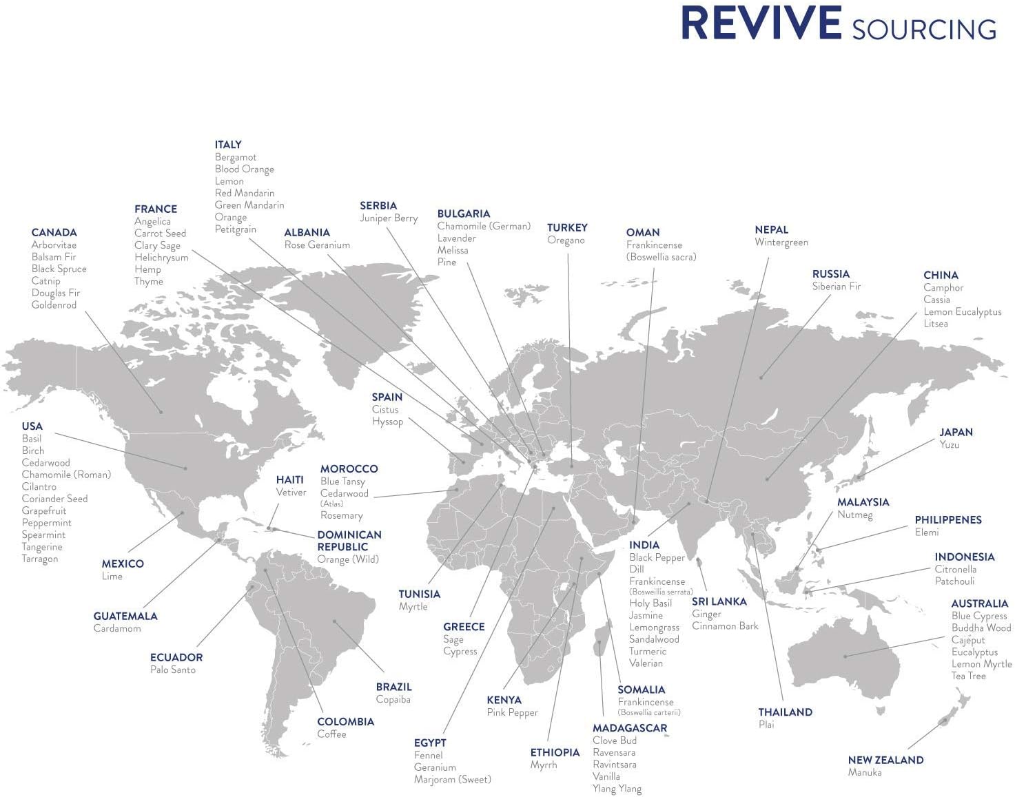 Revive Essential Oils Frankincense Boswellia Sacra 10mL - 100% Pure Therapeutic Grade Essential Oil for Aromatherapy, Diffuser, Massage, Skin & Hair Care - Espot.com.au
