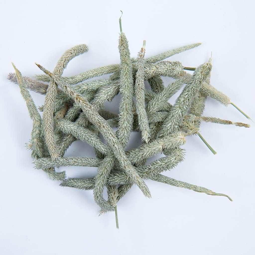 small-pet-select---timothy-hay-flower-tips-10g---high-quality-hay-for-small-pets-2