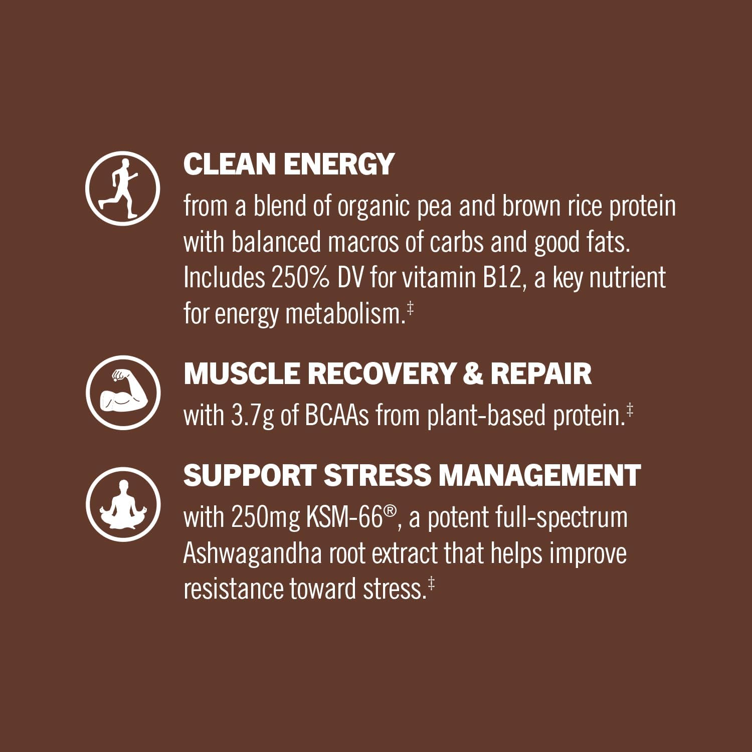 om-mushroom-superfood-master-blend-plant-based-protein-powder---creamy-chocolate-with-10-mushroom-complex-lions-mane-adaptogens---1926-oz-16-servings---optimal-health-recovery-7