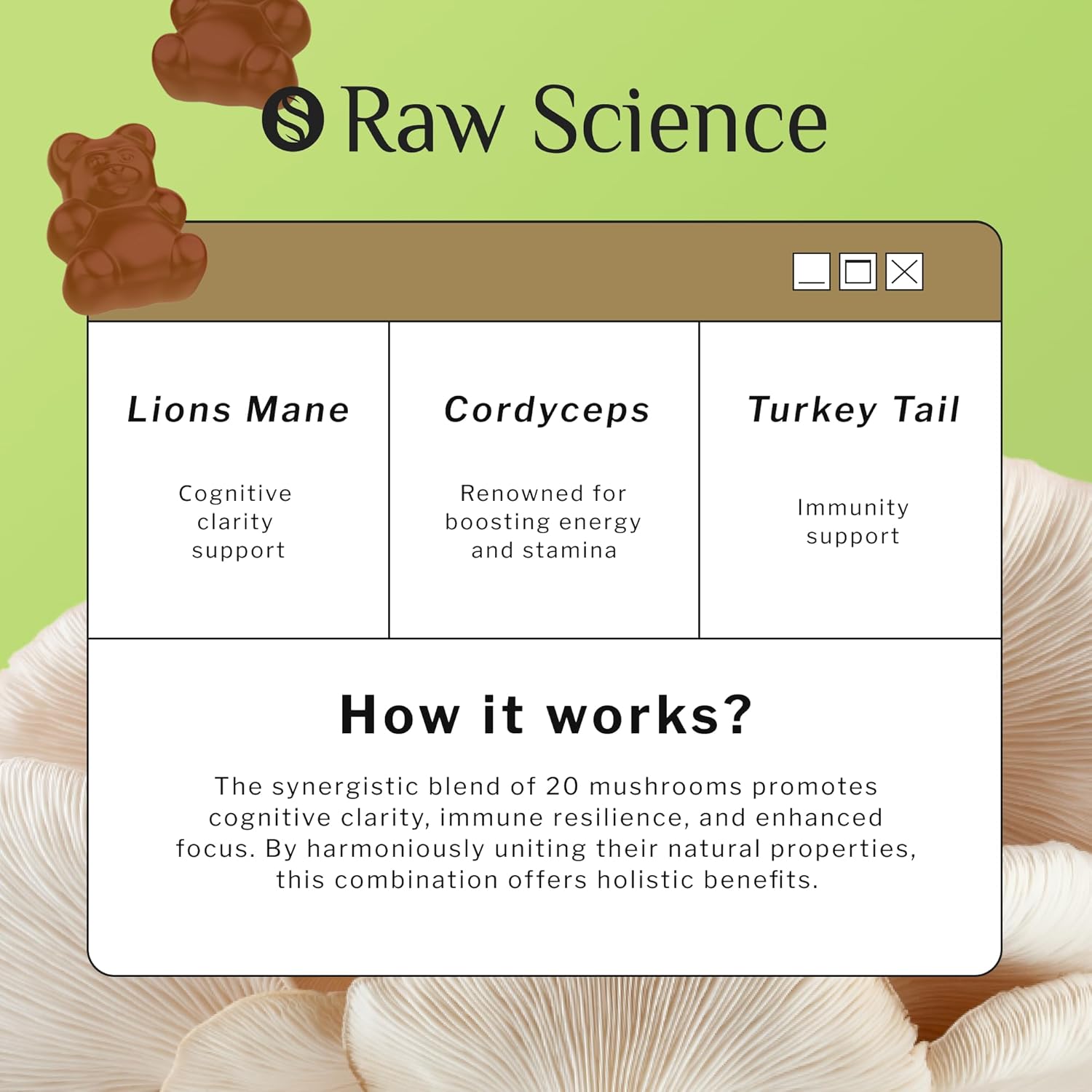 nootropic-mushroom-complex-gummies-for-memory-focus---lions-mane-cordyceps-shiitake-reishi-chaga-enoki-oyster---60-gummies-3