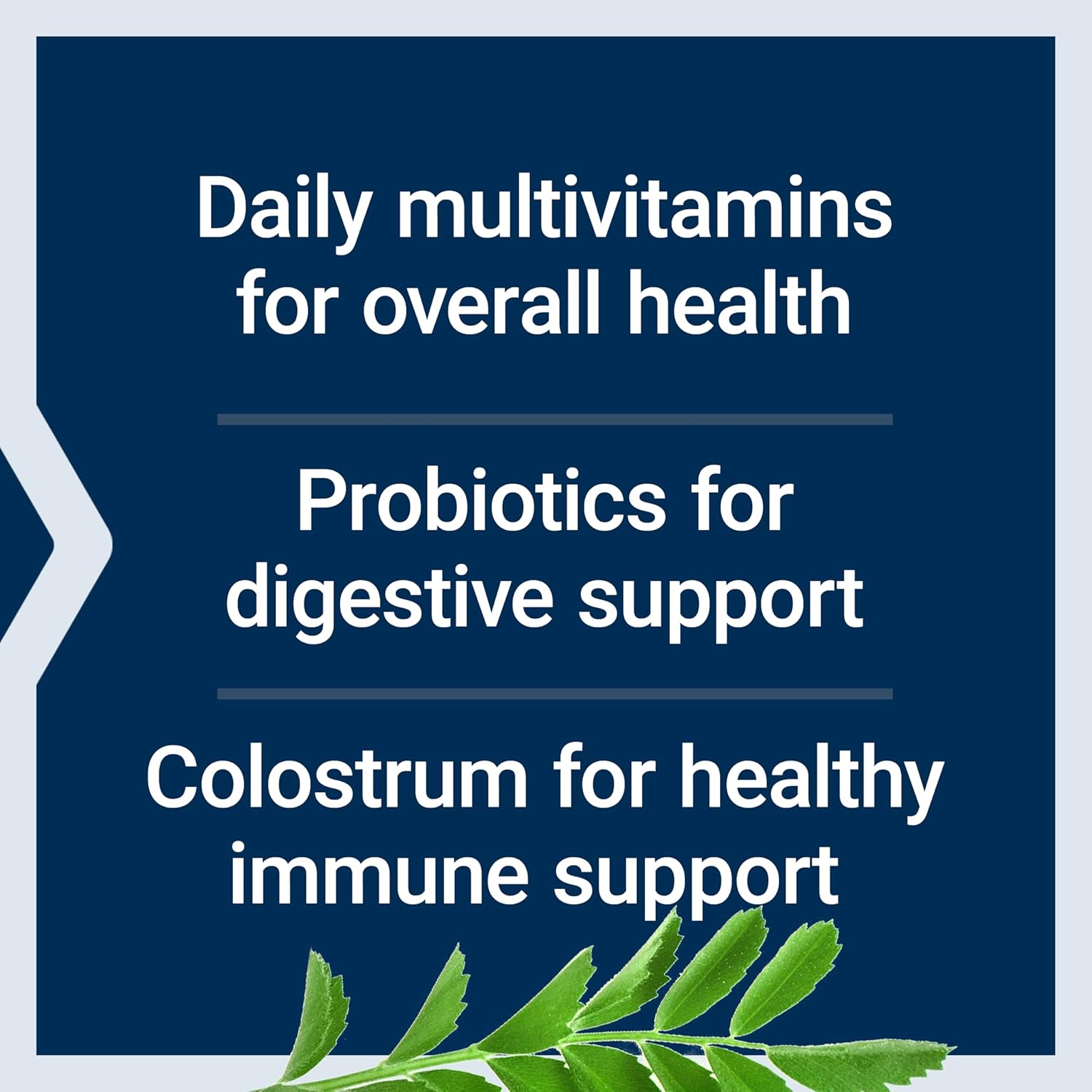 dog-multivitamin-probiotics-soft-chews-for-overall-health-immune-support---dog-food-supplement-with-vitamins-probiotic-blend-colostrum---90-count-5