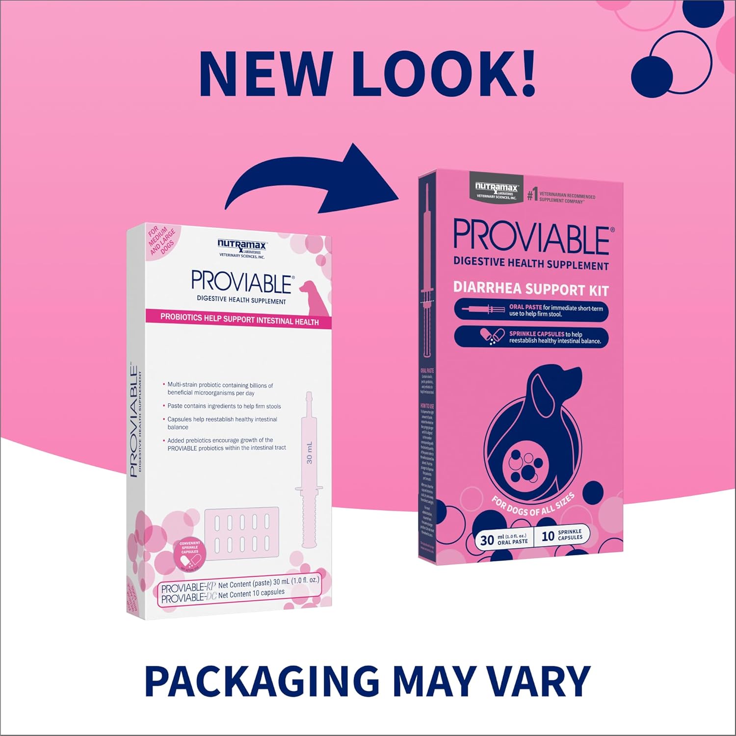 nutramax-laboratories-proviable-digestive-health-supplement-kit-for-medium-to-large-dogs---multi-strain-probiotics-and-prebiotics-7-bacteria-strains-30-ml-paste-10-capsules-2