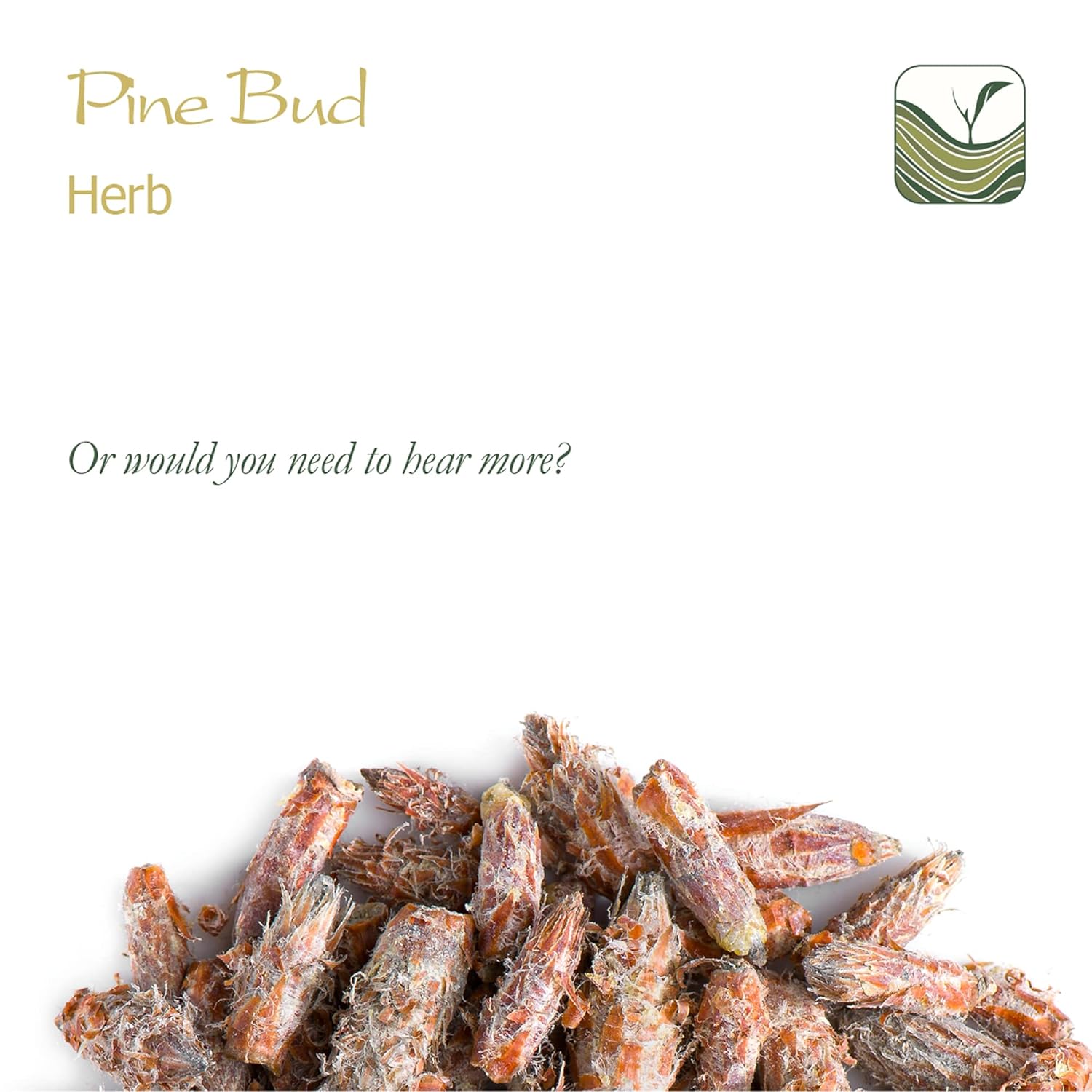 premium-pine-needle-tea-valley-grown-pine-buds-needles-for-high-quality-pine-sprig-herbal-tea---dried-pine-herb-buds-needles-for-pine-tea-6