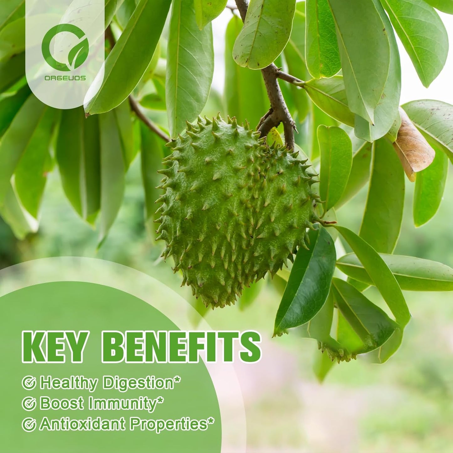bundle-of-organic-soursop-gummies-and-liquid-drops---natural-and-delicious-soursop-products-for-health-and-wellness-6
