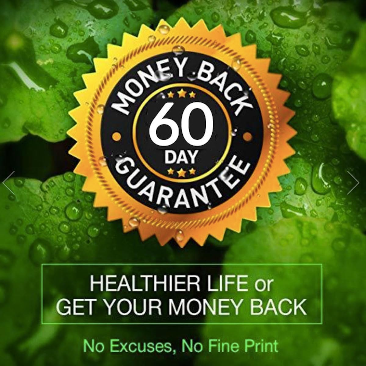 100-pure-green-coffee-bean-extract-capsules---10000mg-strength---50-chlorogenic-acid---180-capsules---non-gmo-gluten-free---6-month-supply---herbal-supplement-5