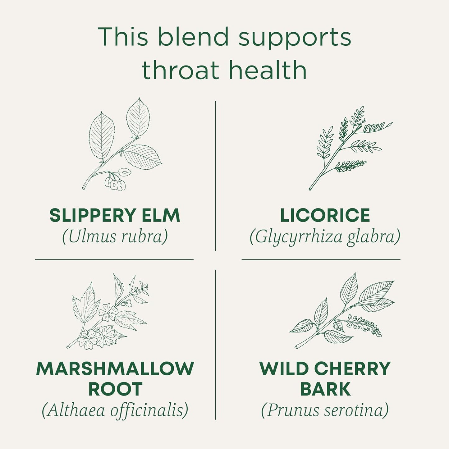 traditional-medicinals-organic-throat-coat-tea---16-tea-bags-for-throat-health-support-2