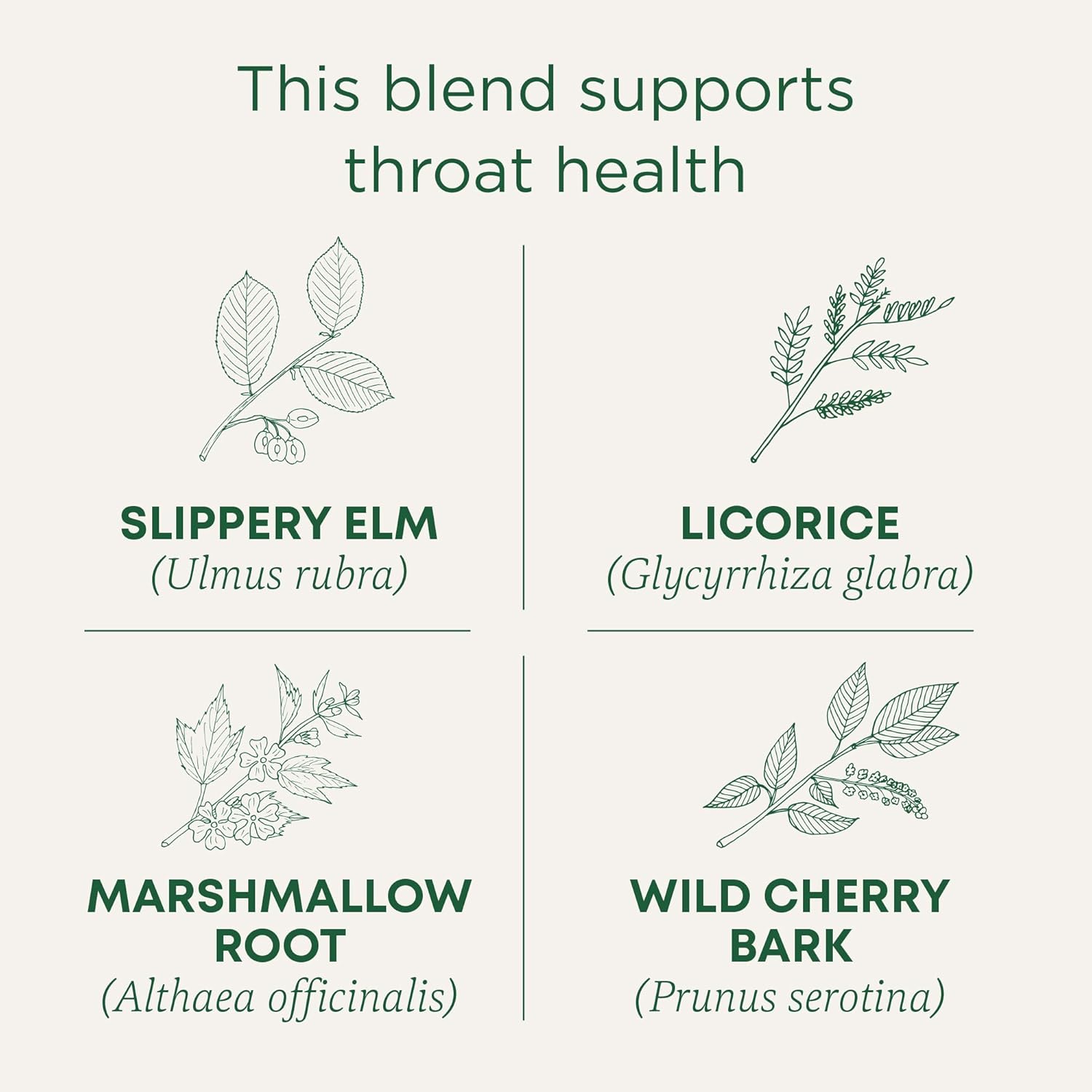 organic-throat-coat-tea-by-traditional-medicinals---96-tea-bags-6-pack-for-throat-health-support-2