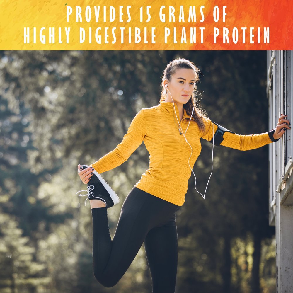 organic-plant-protein-smooth-energy-powder---vegan-gluten-free-shake-with-yerba-mate-vitamin-b12-probiotics---15g-protein-10-servings-2