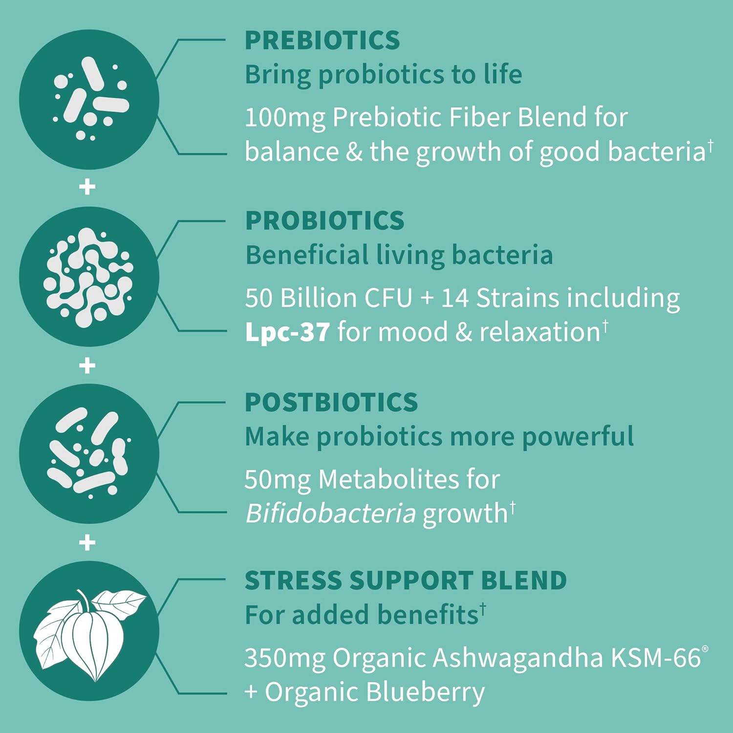 dr-formulated-calm-daily-3-in-1-probiotic-supplement-with-ashwagandha---immune-digestive-mood-support---30-day-supply-4