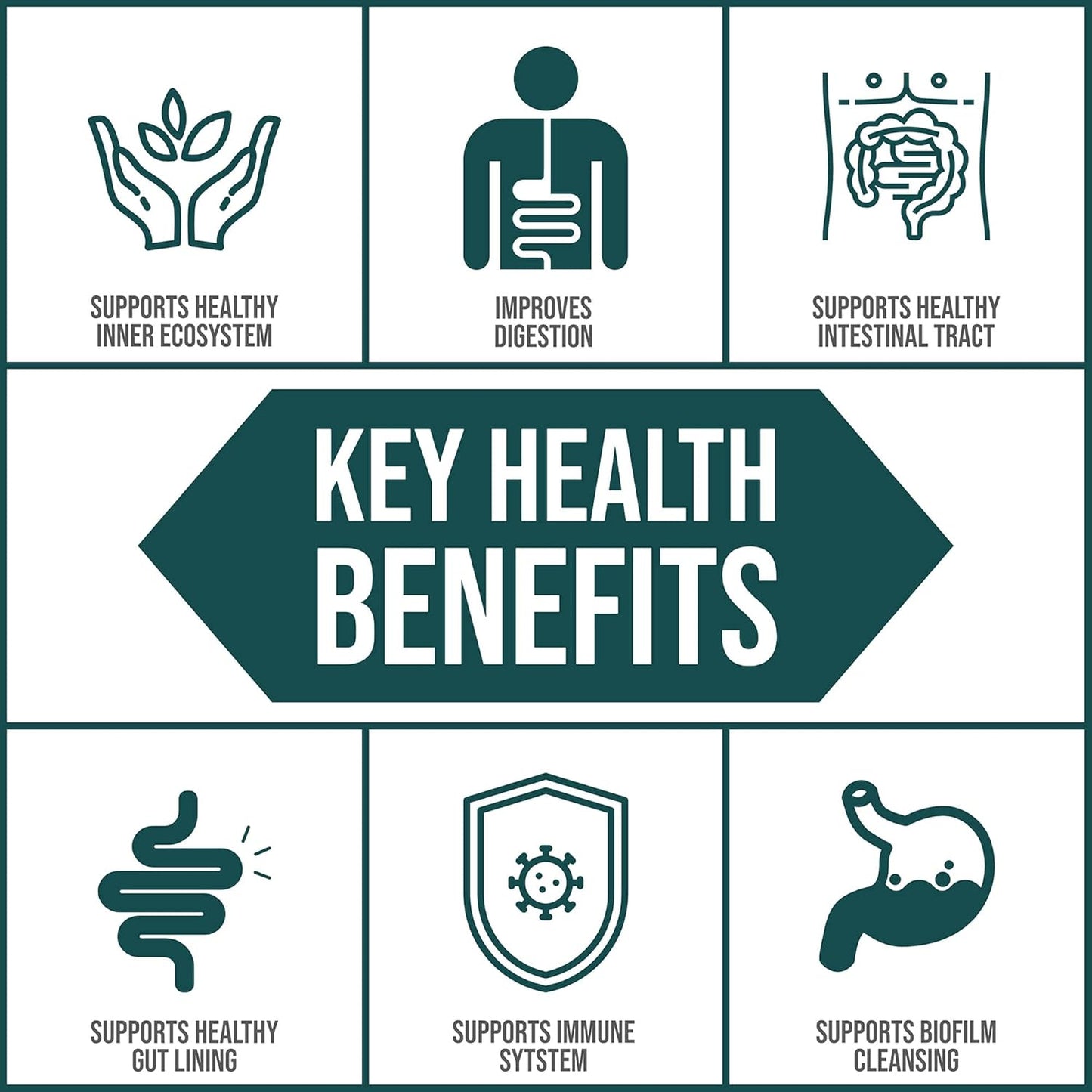 body-ecology-ecooxyzyme-multi-enzyme-digestive-supplement-for-gut-health-immune-support-and-biofilm-disruption---60-capsules-4