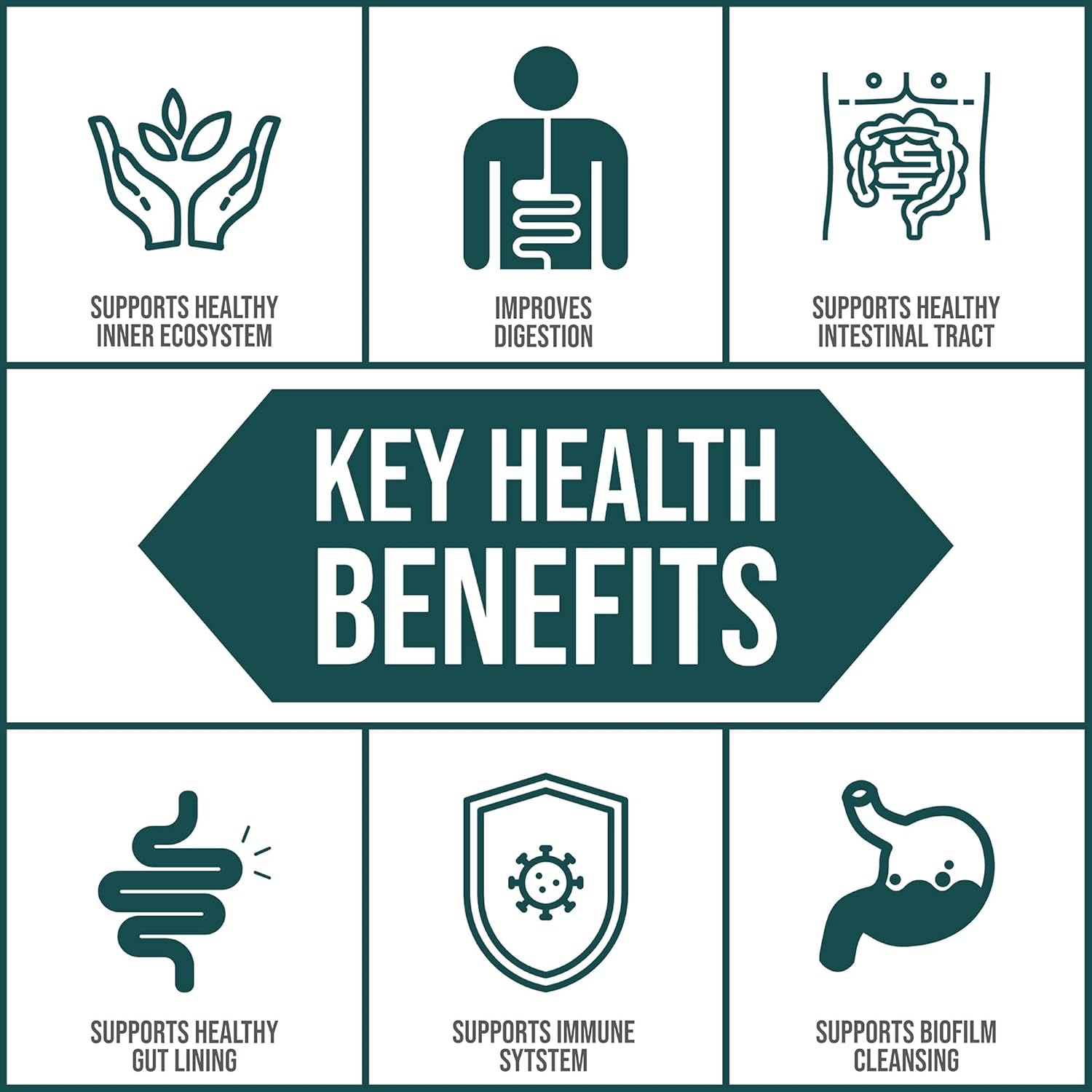 body-ecology-ecooxyzyme-multi-enzyme-digestive-supplement-for-gut-health-immune-support-and-biofilm-disruption---60-capsules-4