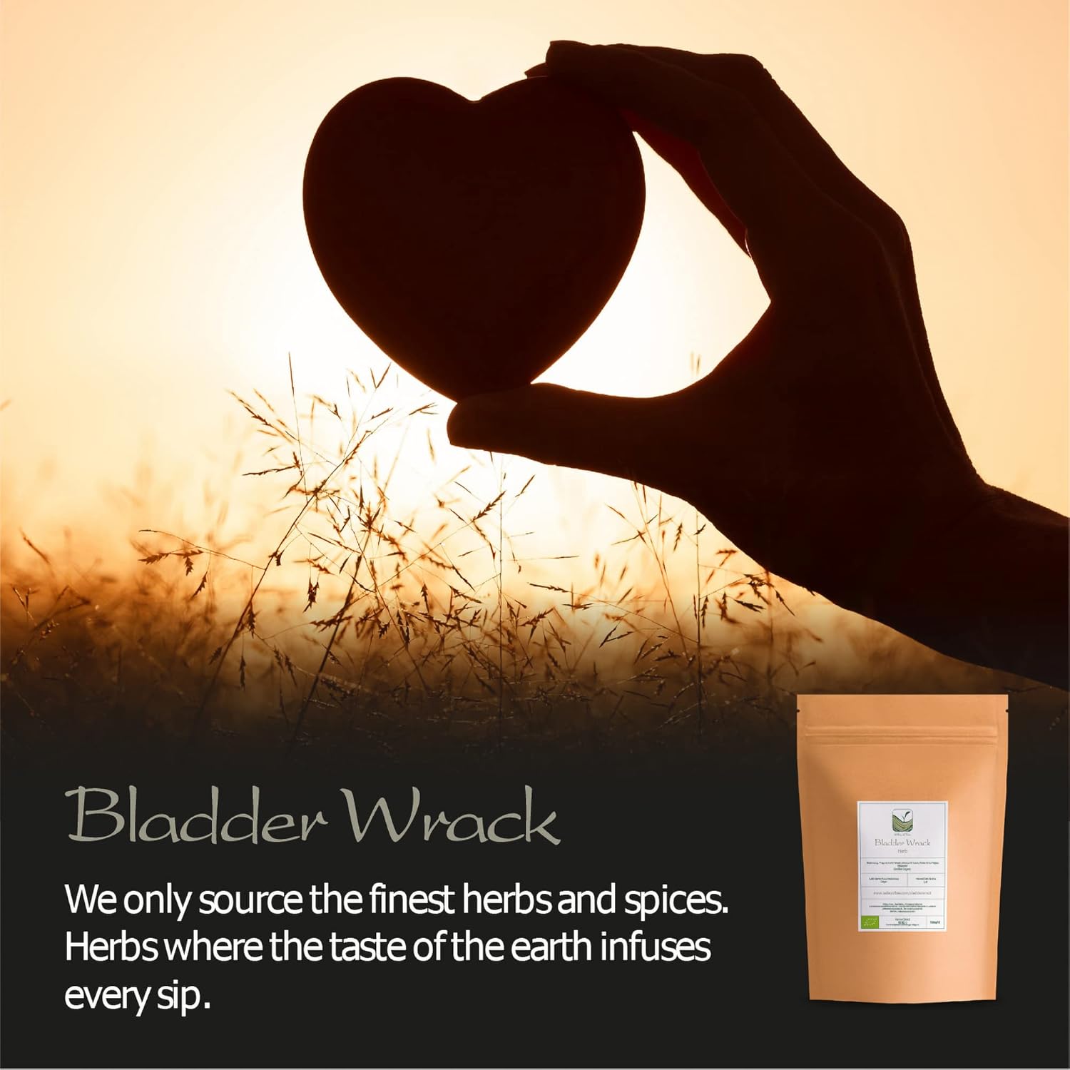 organic-valley-of-tea-bladderwrack-powder-for-bladder-health-and-wellness-4
