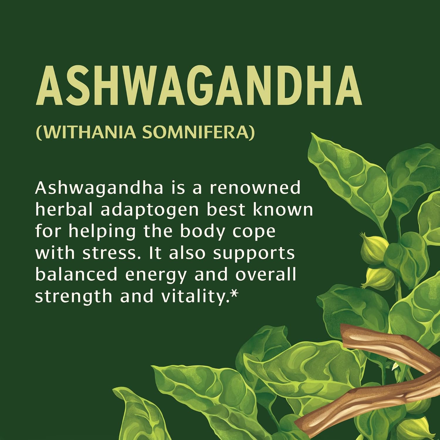 organic-ashwagandha-root-tablets-for-natural-energy-and-stress-support---90-count-vegan-tablets---non-gmo-and-sustainably-sourced-4