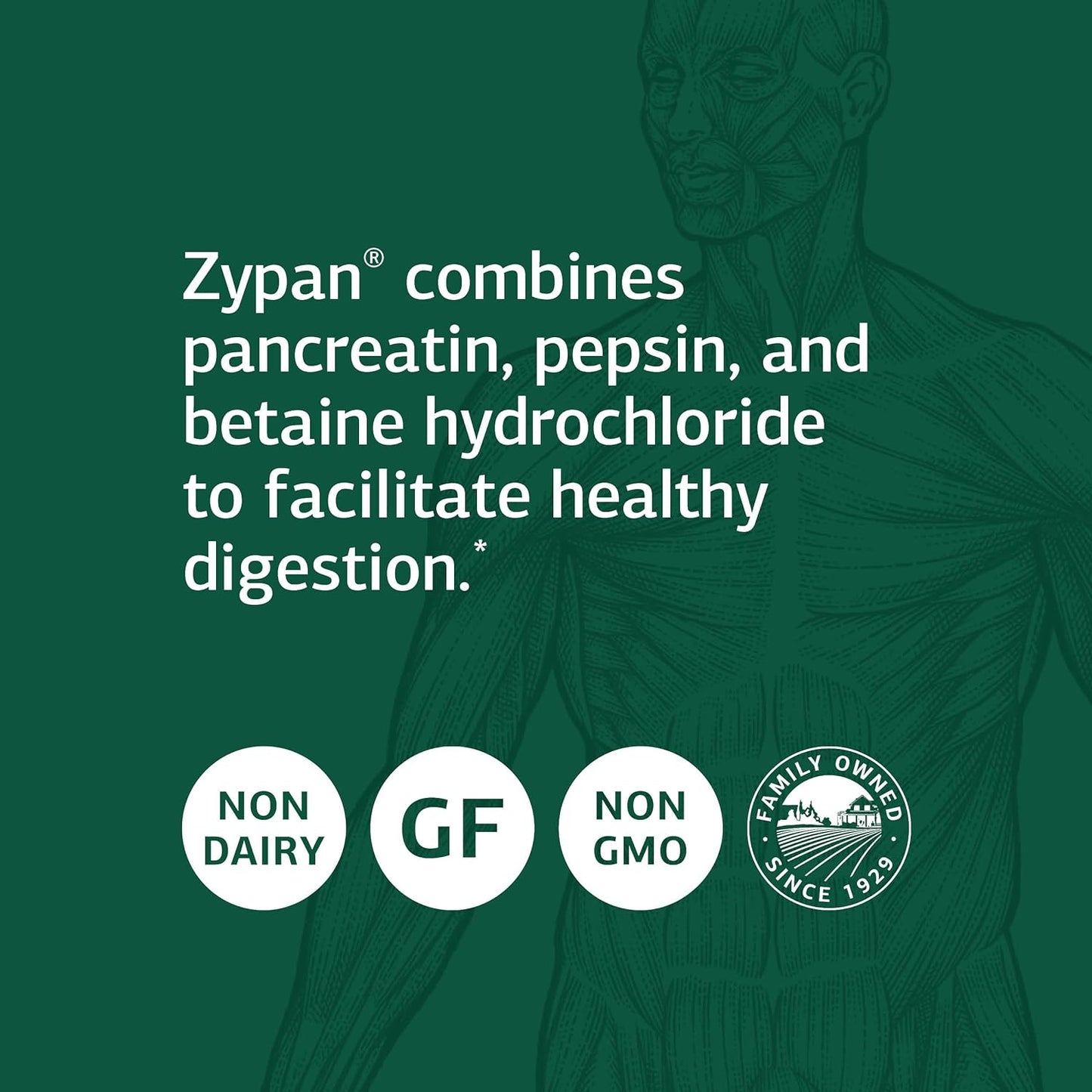 standard-process-zypan---digestive-health-support-supplement-with-pancreatin-betaine-hydrochloride-pepsin---support-macronutrient-digestion---90-tablets-3