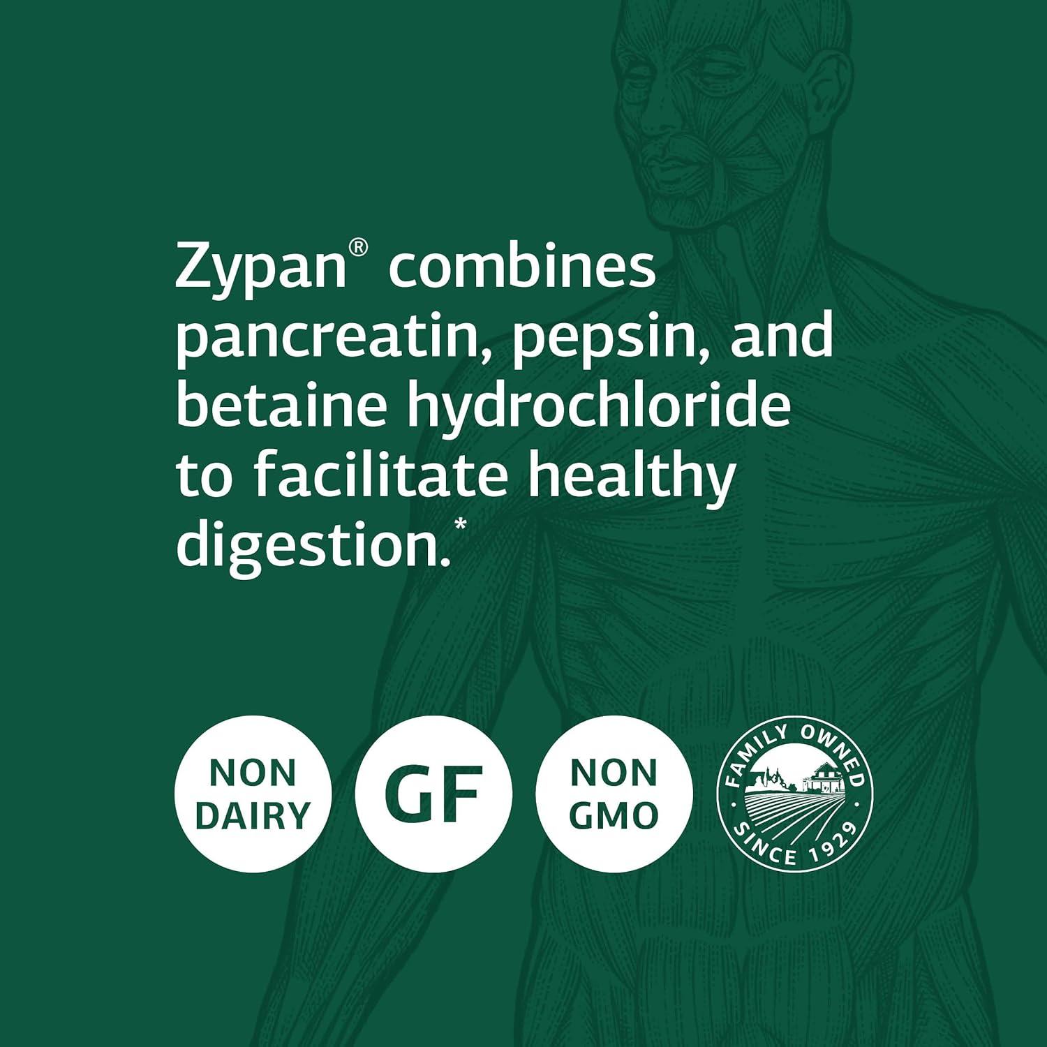 standard-process-zypan---digestive-health-support-supplement-with-pancreatin-betaine-hydrochloride-pepsin---support-macronutrient-digestion---90-tablets-3