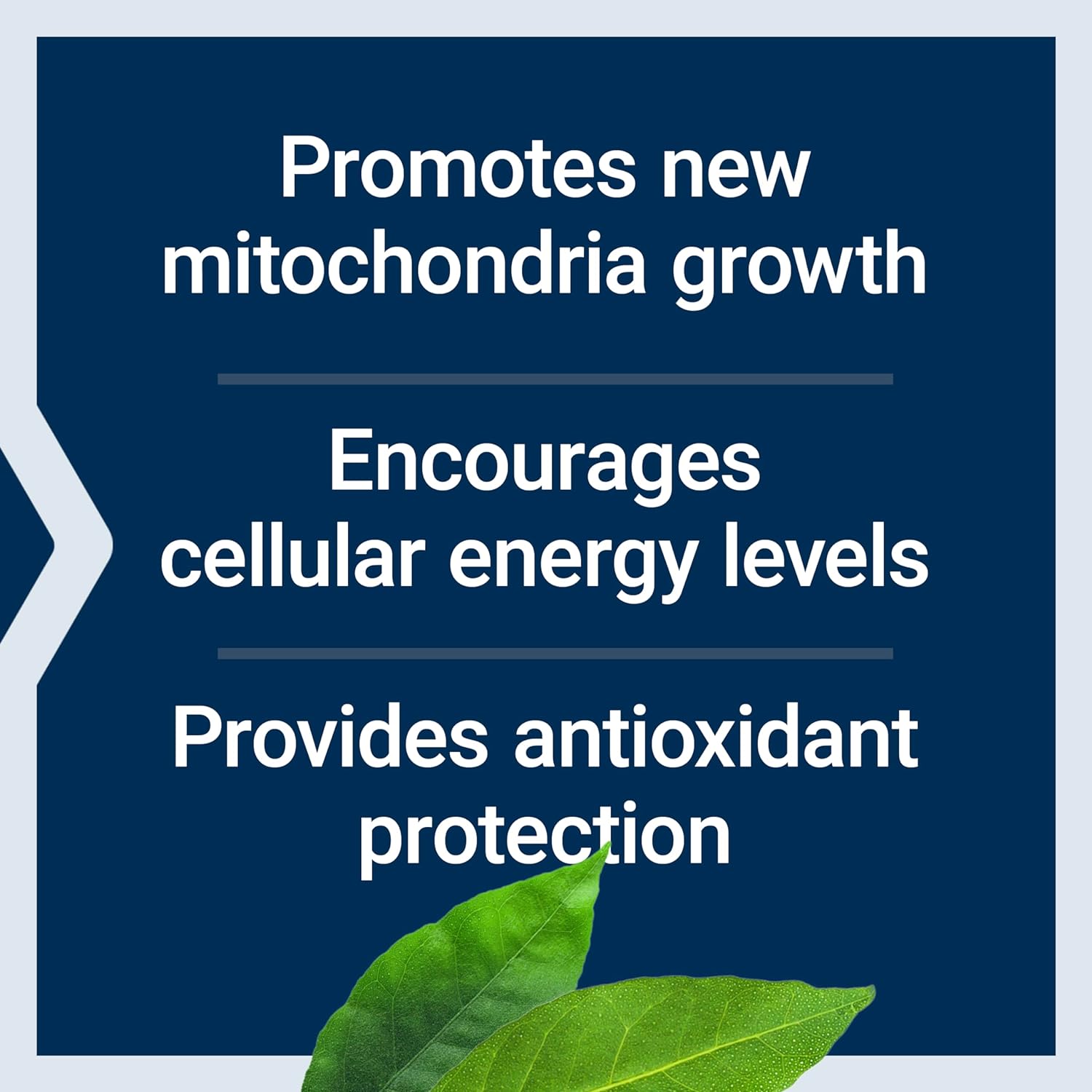 PQQ Capsules 10mg for New Mitochondria Growth, ATP Energy Support - Gluten-Free, Non-GMO, Vegetarian - 30 Capsules - Espot.com.au