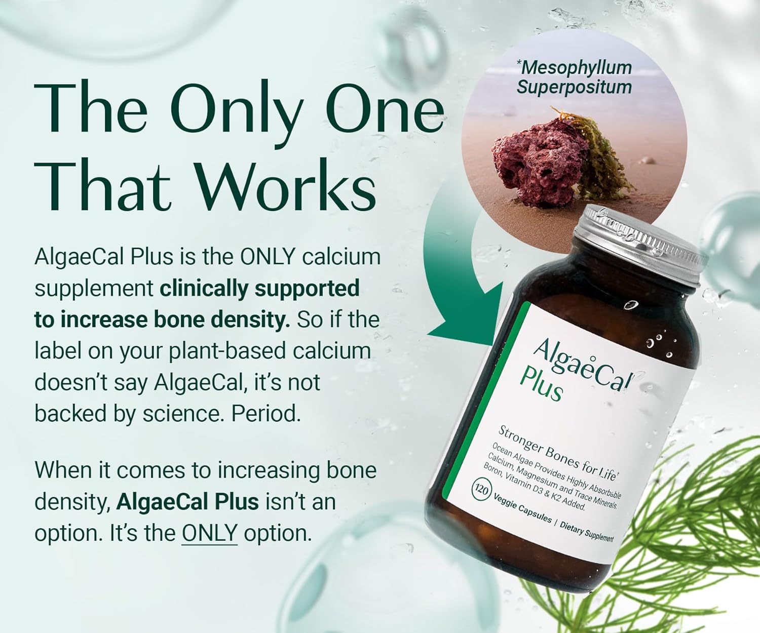 organic-red-algae-calcium-supplement-for-women---with-vitamin-k2-d3-magnesium-trace-minerals---120-veg-caps-for-improved-bone-strength-5