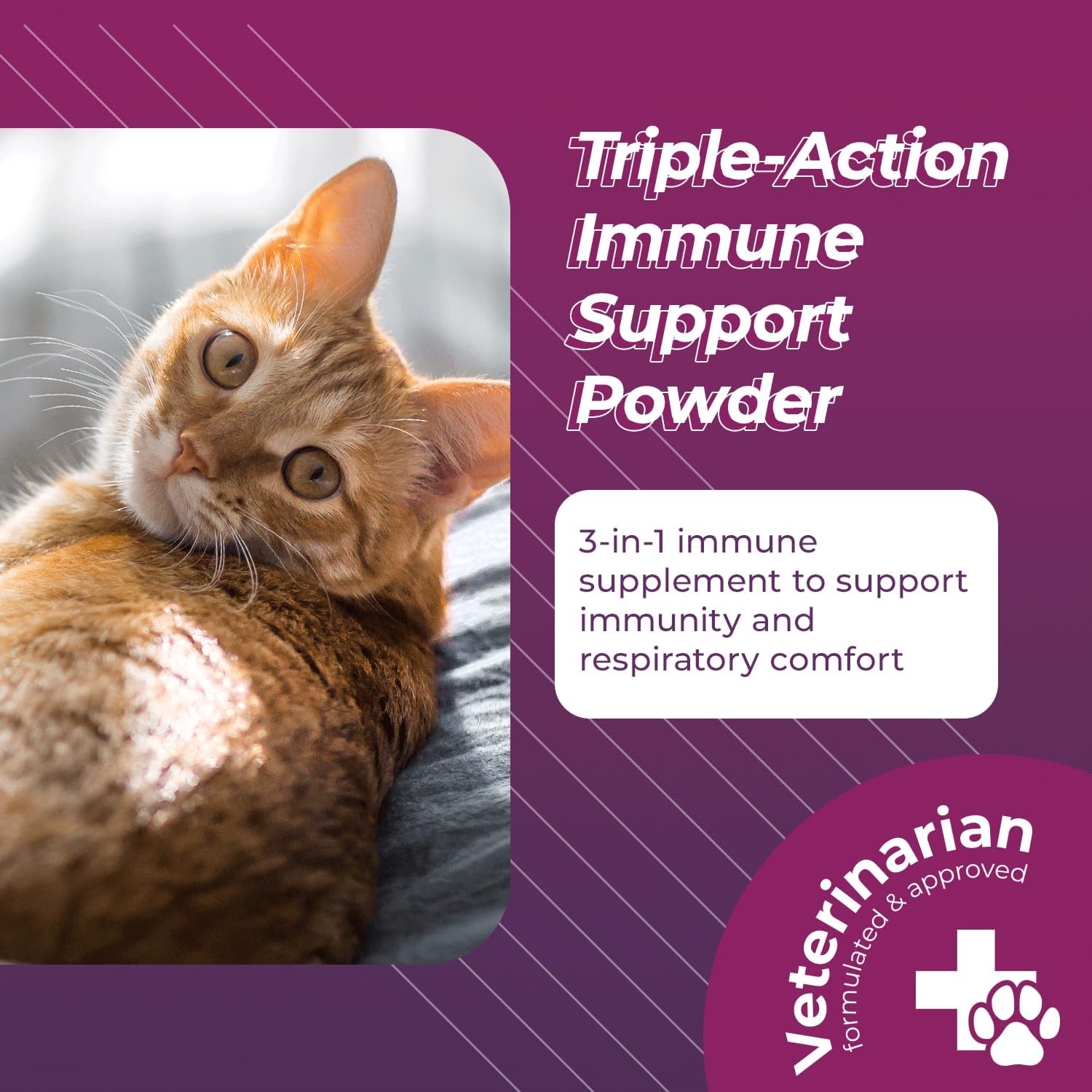 triple-action-cat-lysine-powder-with-scoop-for-immune-respiratory-health---vetriscience-lysine-supplement-for-cats-with-l-lysine-dmg-2