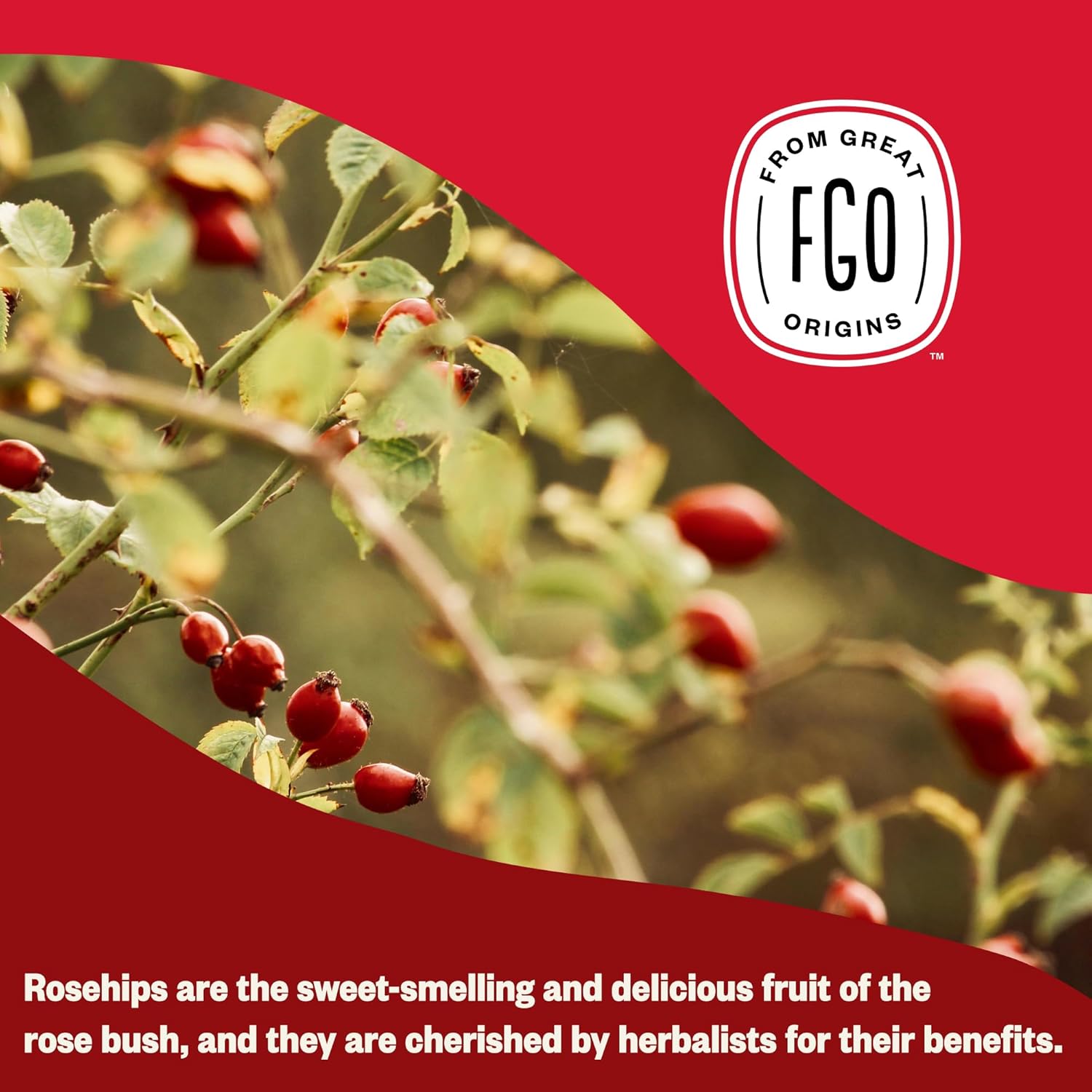 organic-rosehips-tea---cut-and-sifted-16-oz-resealable-bag---fgo-pack-of-1-6