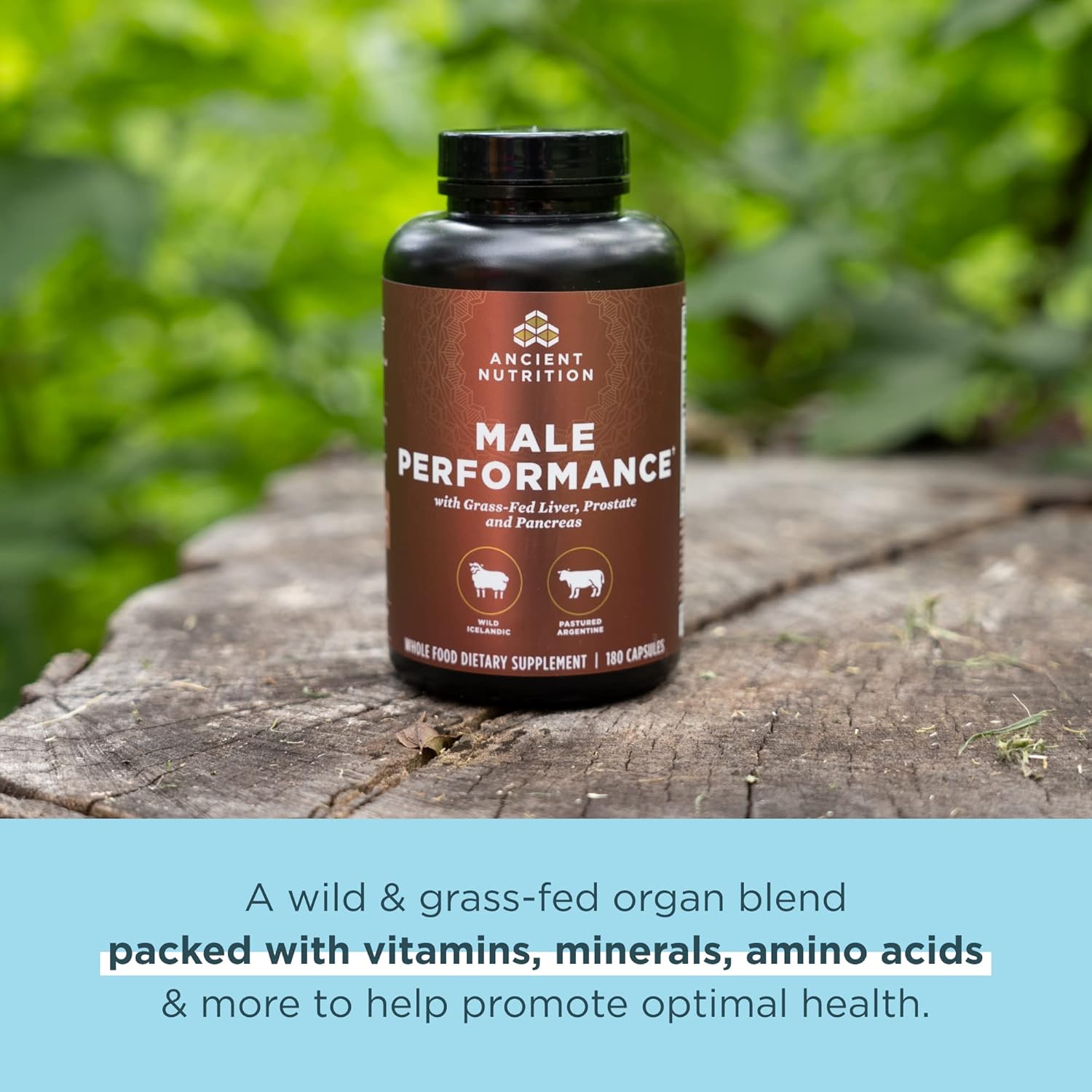 grass-fed-organ-complex-capsules-for-men---supports-liver-prostate-pancreas-male-performance-healthy-aging---180-ct-3