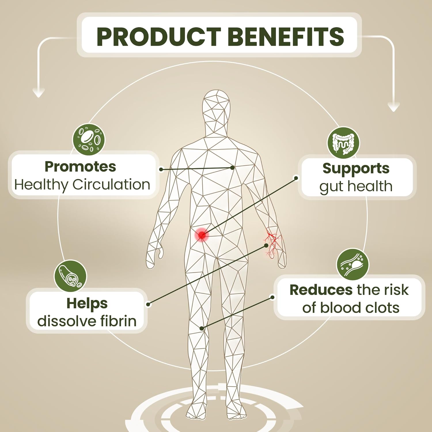 pure-lumbrokinase-enzyme-supplement-40mg-60-capsules---maximum-activity-800000-ui---digestive-enzymes-for-better-health---lab-tested-non-gmo---alternative-to-serrapeptase-and-nattokinase-2