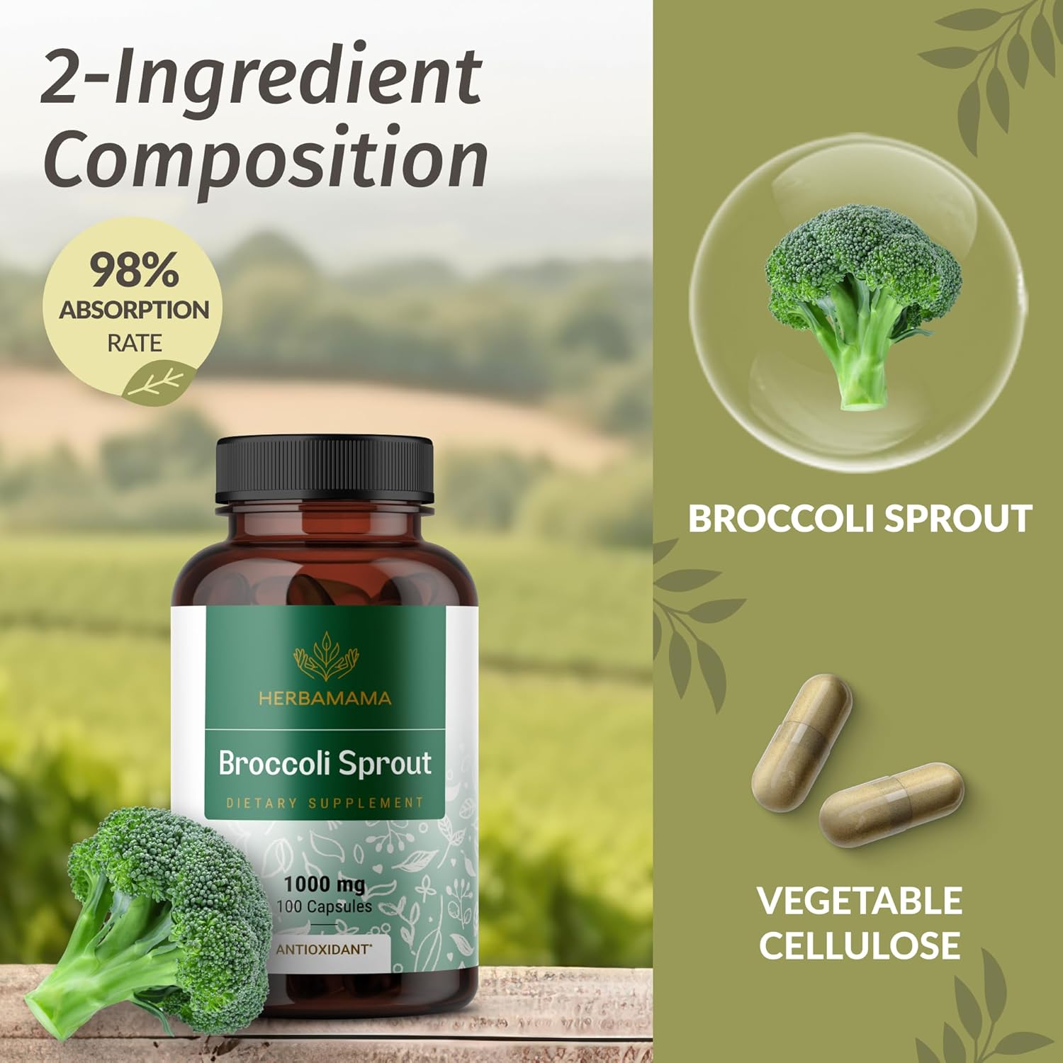 herbamama-brain-support-broccoli-sprout-bundle---1400mg-brain-support-complex-1000mg-broccoli-sprout-capsules---vegan-non-gmo-gelatin-free---2-pack-7