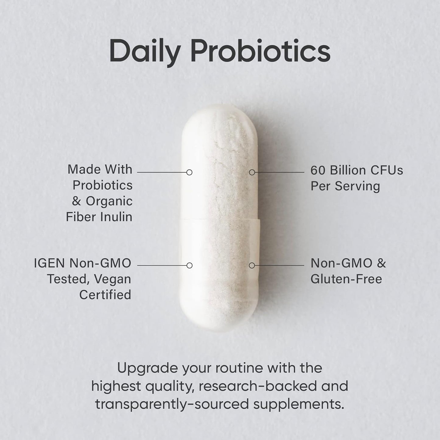 Vegan Probiotic Bundle: Daily Digestive Support with Enzymes & Ginger, Women's Probiotics with Prebiotics - 125 Billion CFU in Total - Espot.com.au
