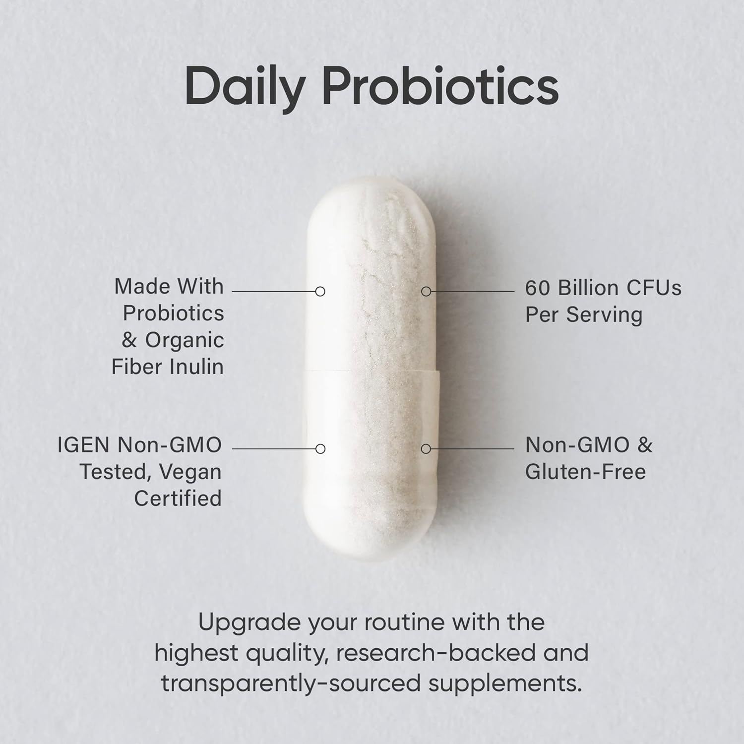 Vegan Probiotic Bundle: Daily Digestive Support with Enzymes & Ginger, Women's Probiotics with Prebiotics - 125 Billion CFU in Total - Espot.com.au