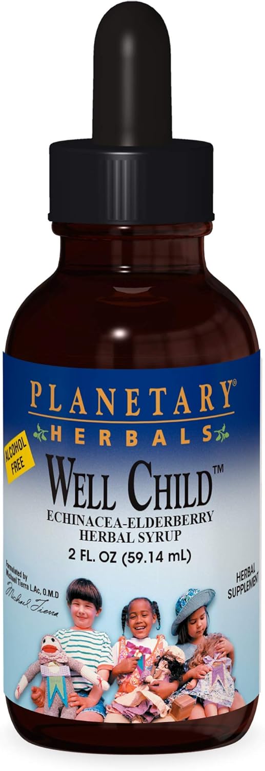 alcohol-free-planetary-herbals-well-child-echinacea-elderberry-herbal-syrup---2-fluid-oz---immune-support-for-kids-1