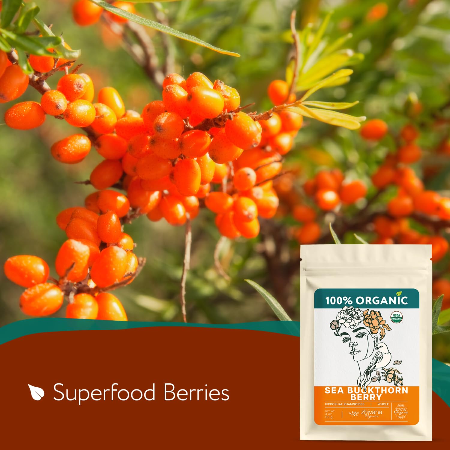 organic-sea-buckthorn-berry-tea---dried-seaberry-superfood-rich-in-nutrients-for-immunity-heart-digestion-liver-skin---4-oz-2