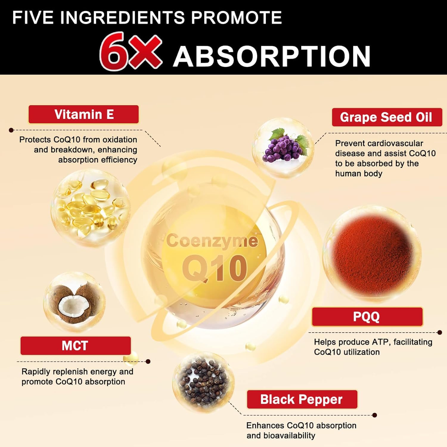 mens-digestive-health-probiotics-with-coq10-200mg-supplement-by-drfoster-6