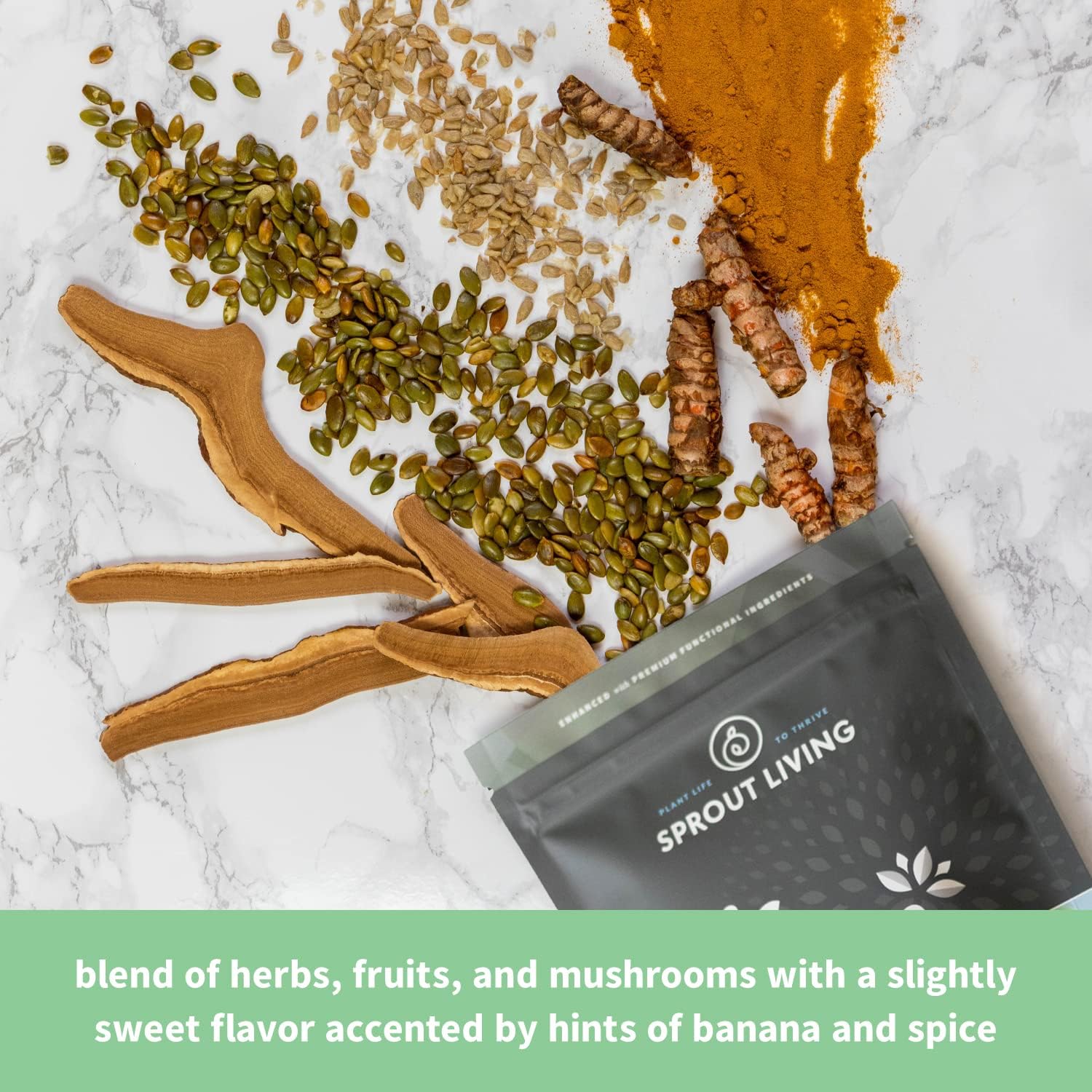 organic-plant-based-protein-powder-with-superfoods-for-recovery-sprout-living-epic-protein-vegan-non-gmo-gluten-free-low-sugar-24g-protein-1lb-12-servings-6