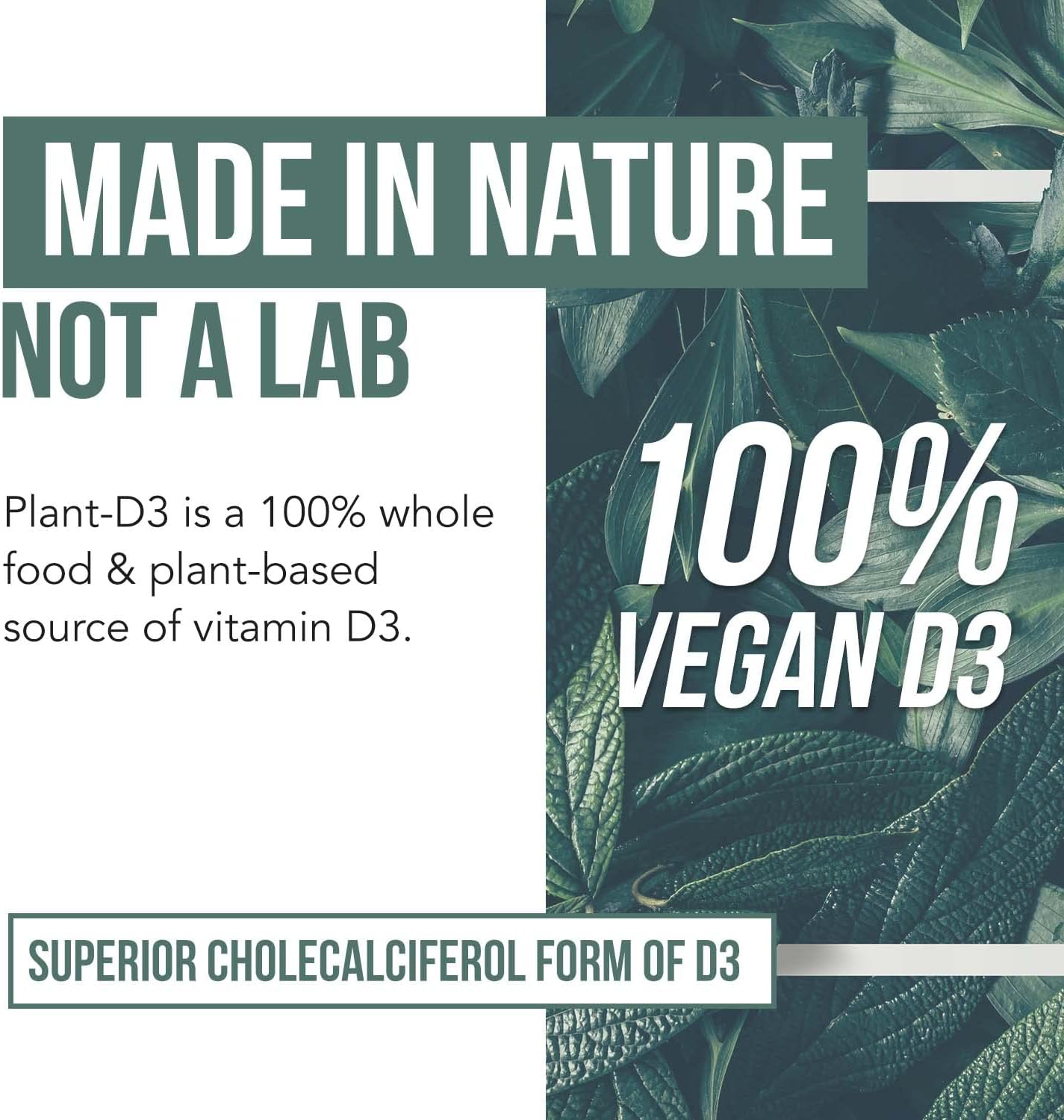 organic-vitamin-d3-5000-iu-capsules---plant-based-cholecalciferol-with-prebiotic-superfood-complex---vegan-gluten-free-formula---60-count-4