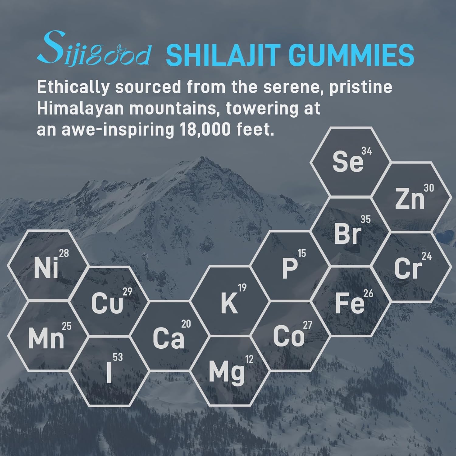 himalayan-shilajit-gummies-with-85-trace-minerals-for-men-women---blueberry-flavored-supplement---60-count-5