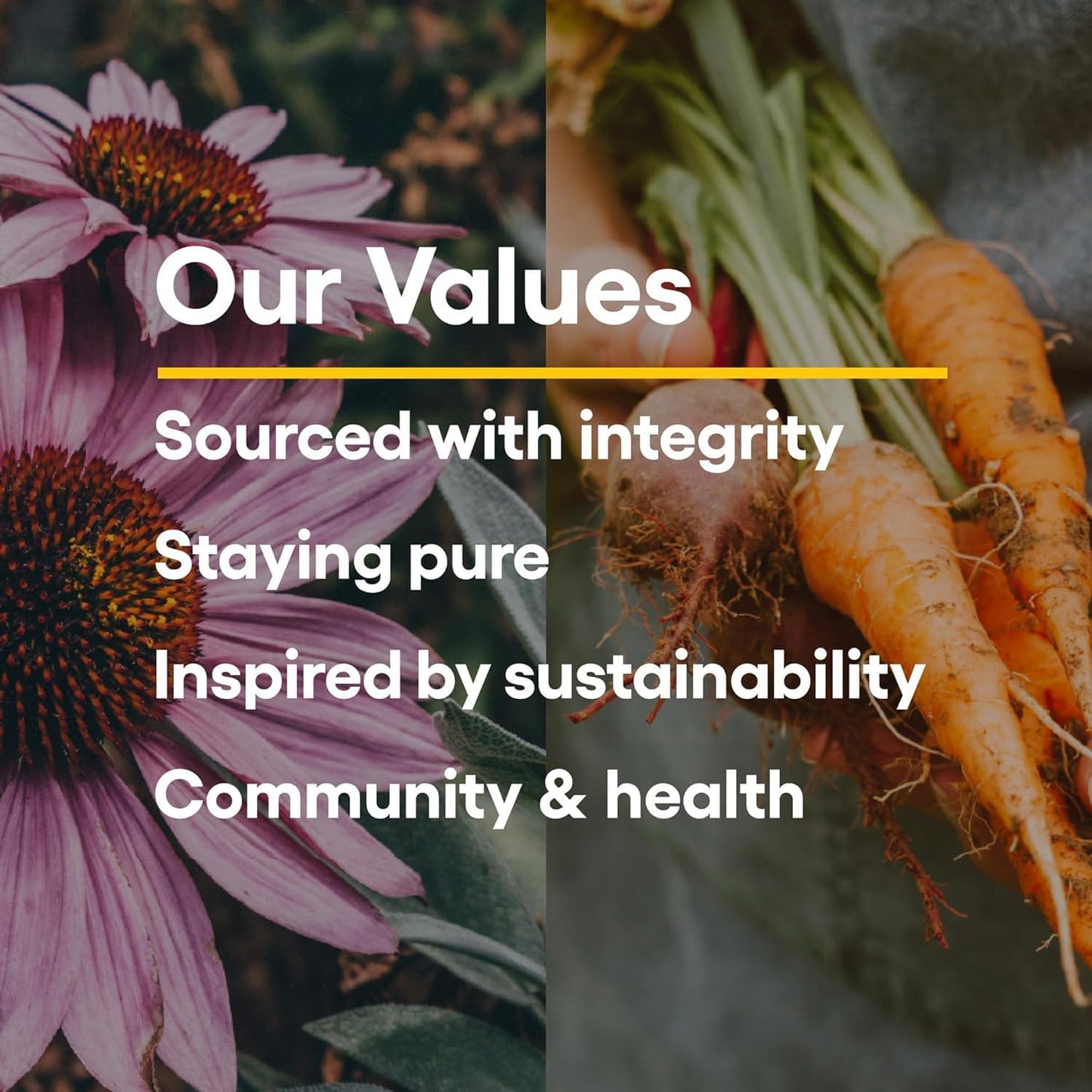 kids-chewable-vitamin-c-500mg-wafers---immune-health-support-with-blueberry-raspberry-boysenberry---180-count-8